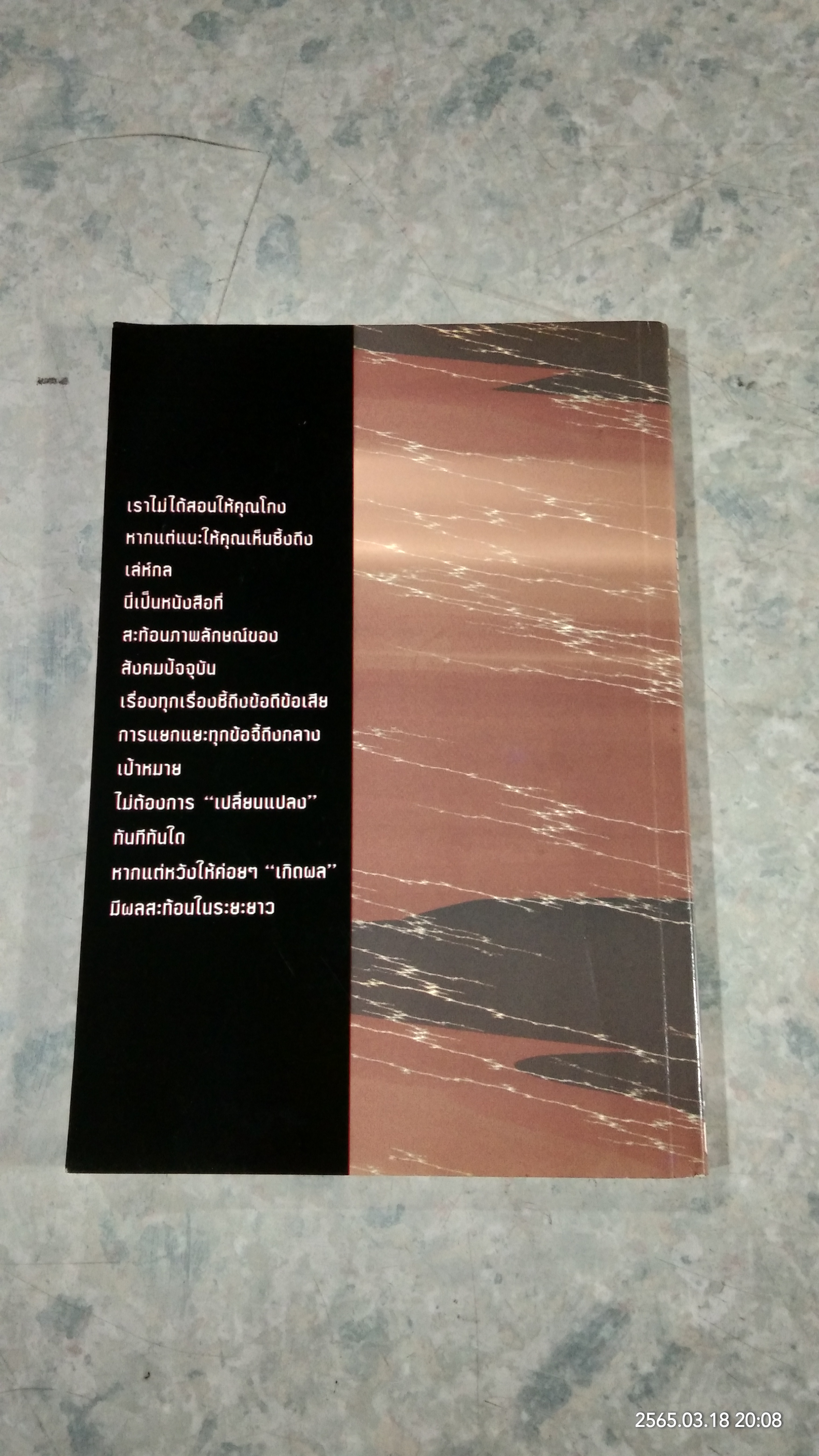 โคตรโกง / ใบไผ่เขียว