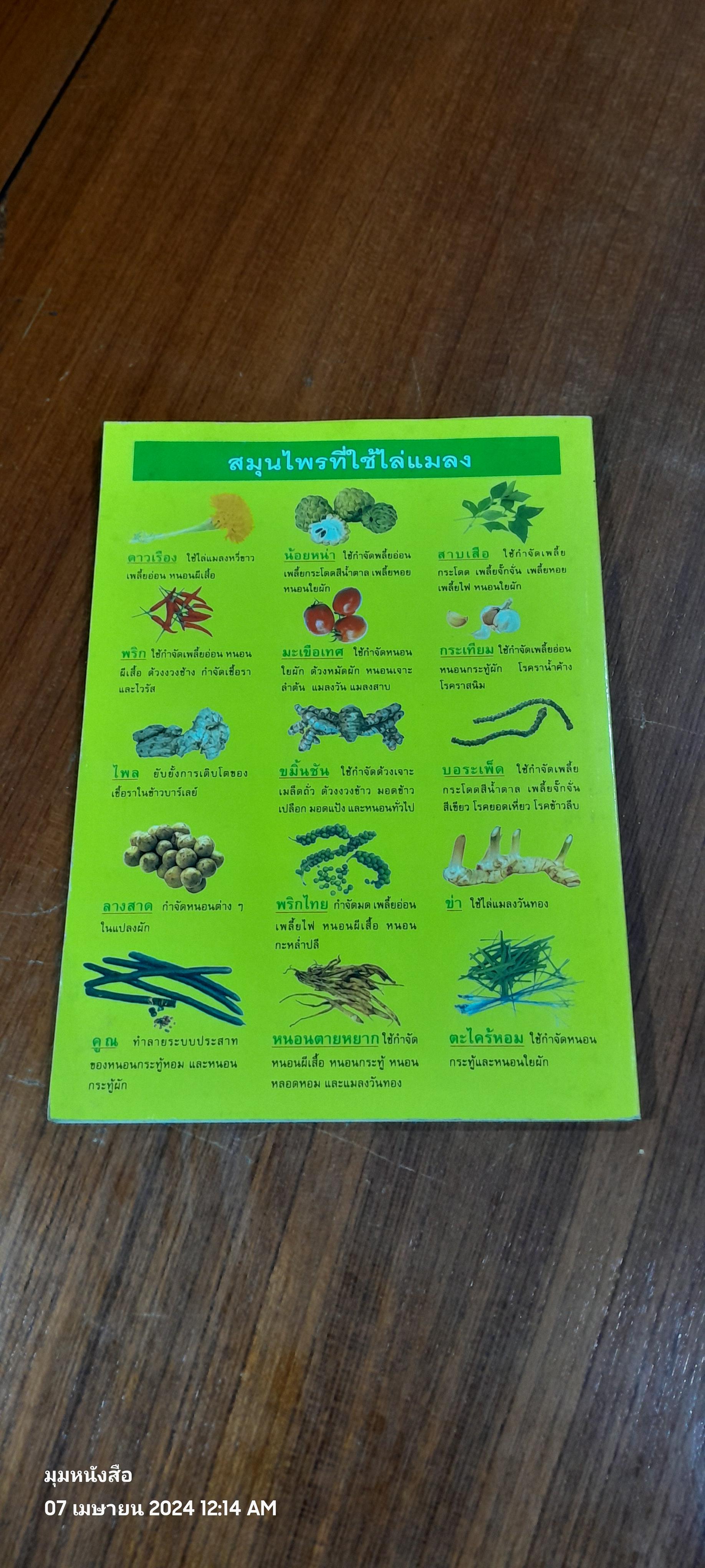 สมุนไพรไล่แมลง / เกษตรกรรมธรรมชาติ