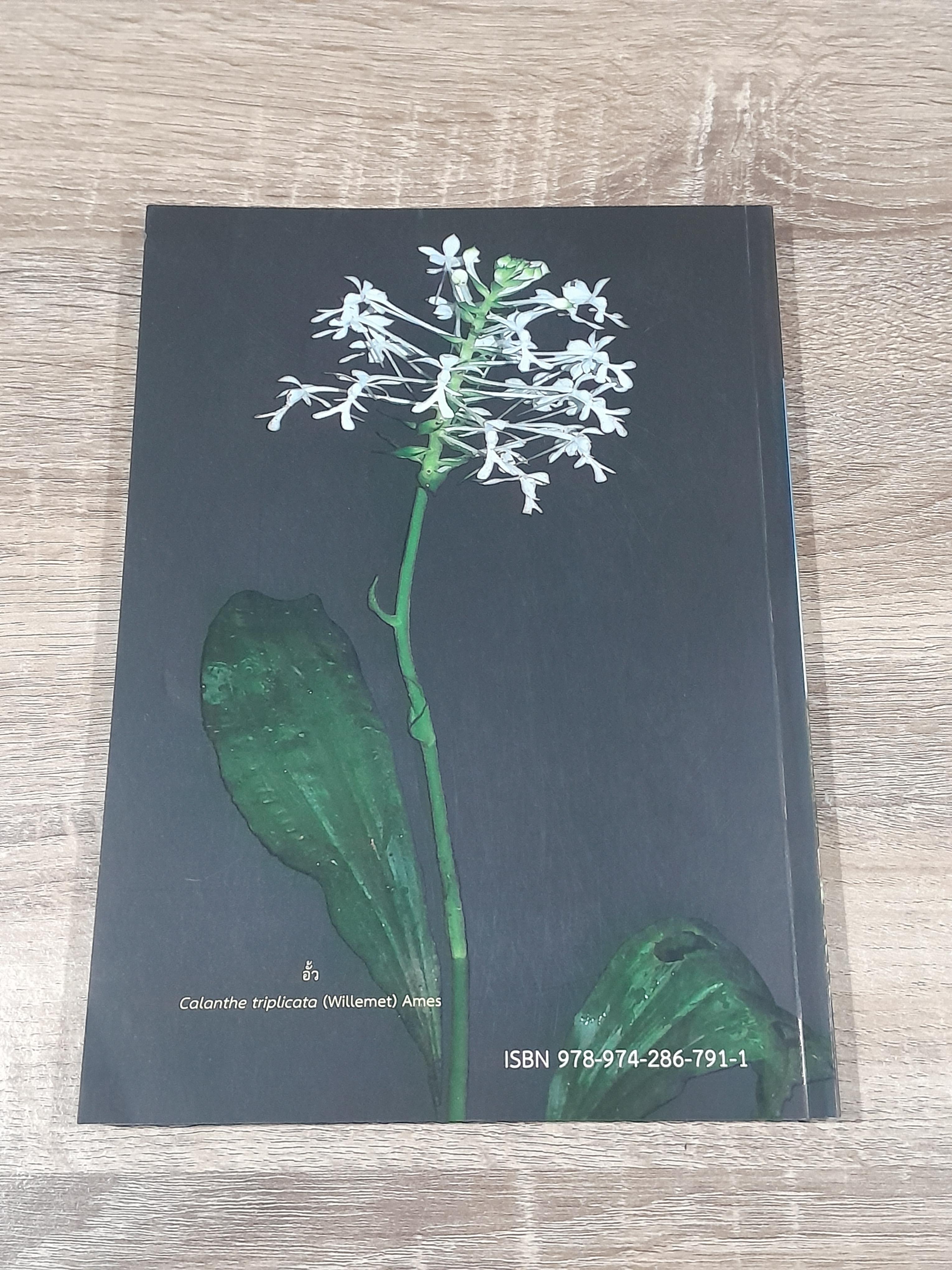 พรรณไม้ ไทยประจัน