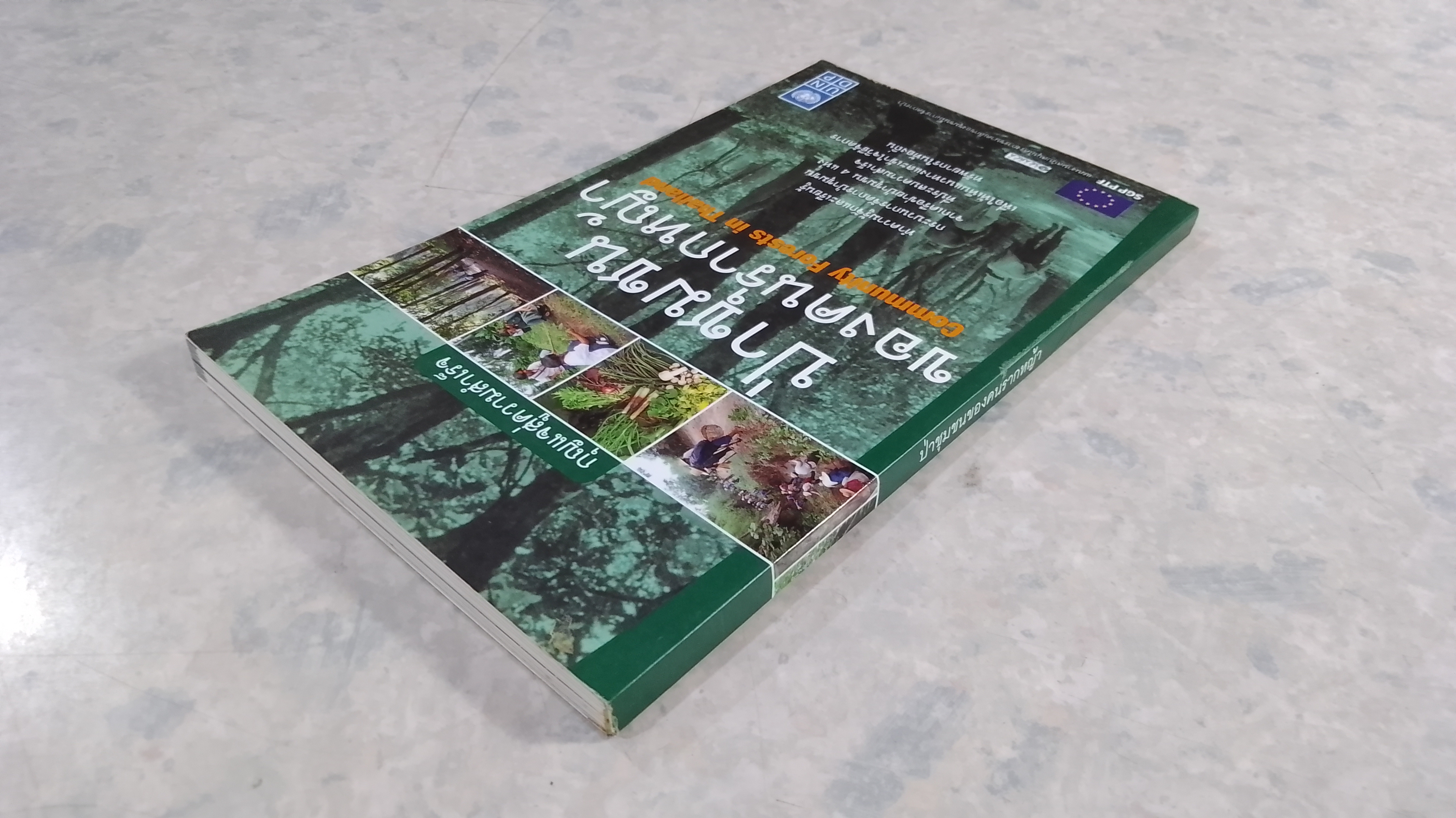 ป่าชุมชนของคนรากหญ้า