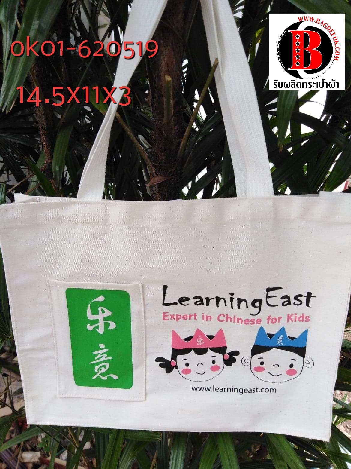 กระเป๋าผ้าดิบลายสอง ทรงกล่อง ok01-620519
