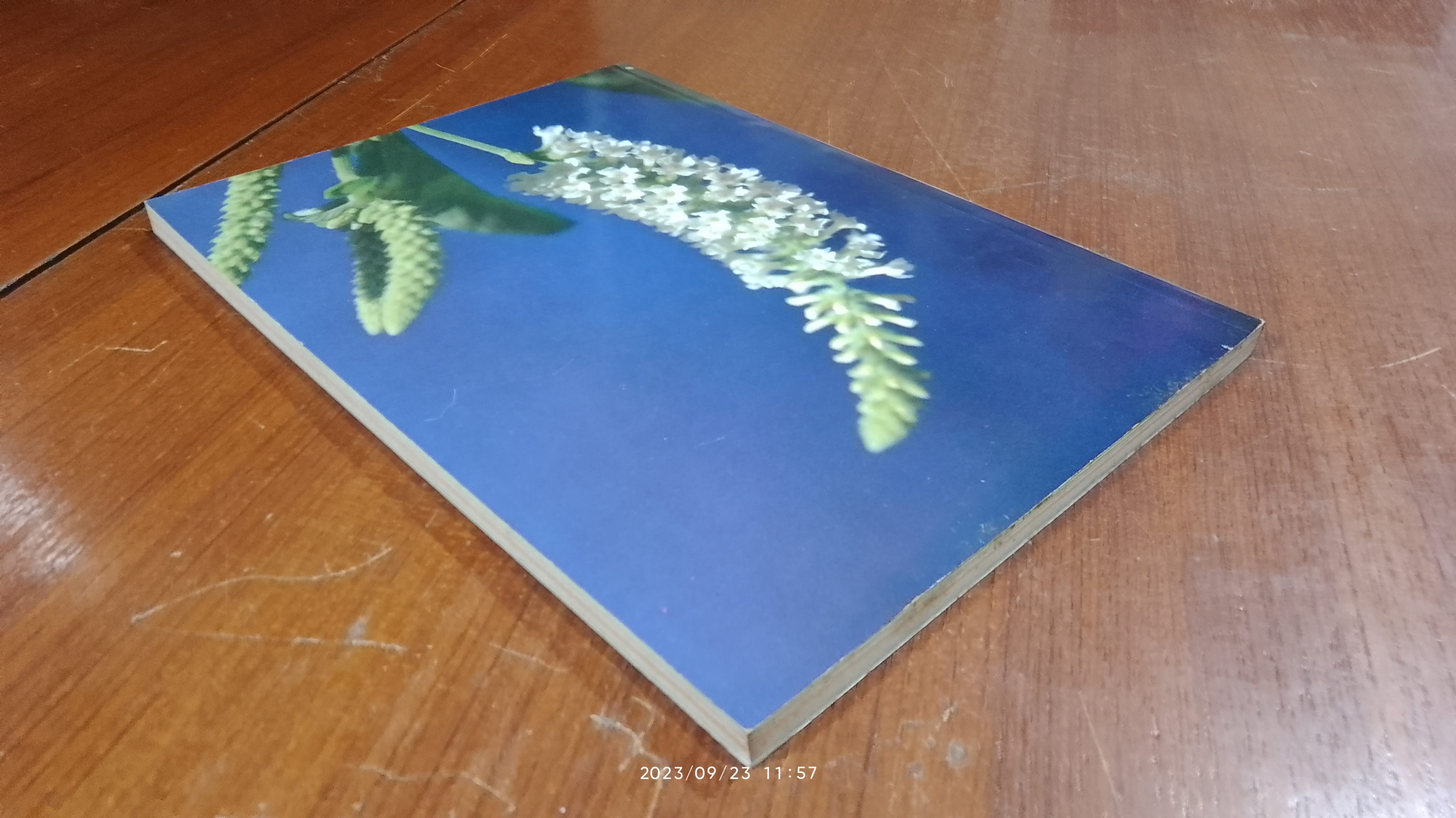 วันต้นไม้ ประจำปีแห่งชาติ ๒๕๓๐ / กองสวนสาธารณะ