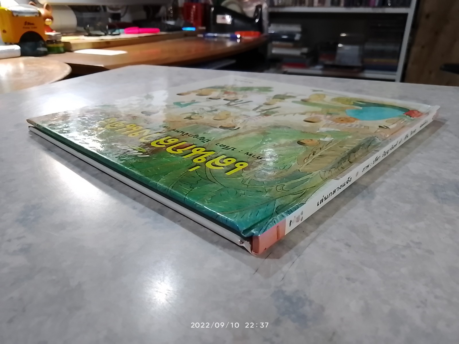 เล่นกลางแจ้ง / ปรีดา ปัญญาจันทร์ ภาพ