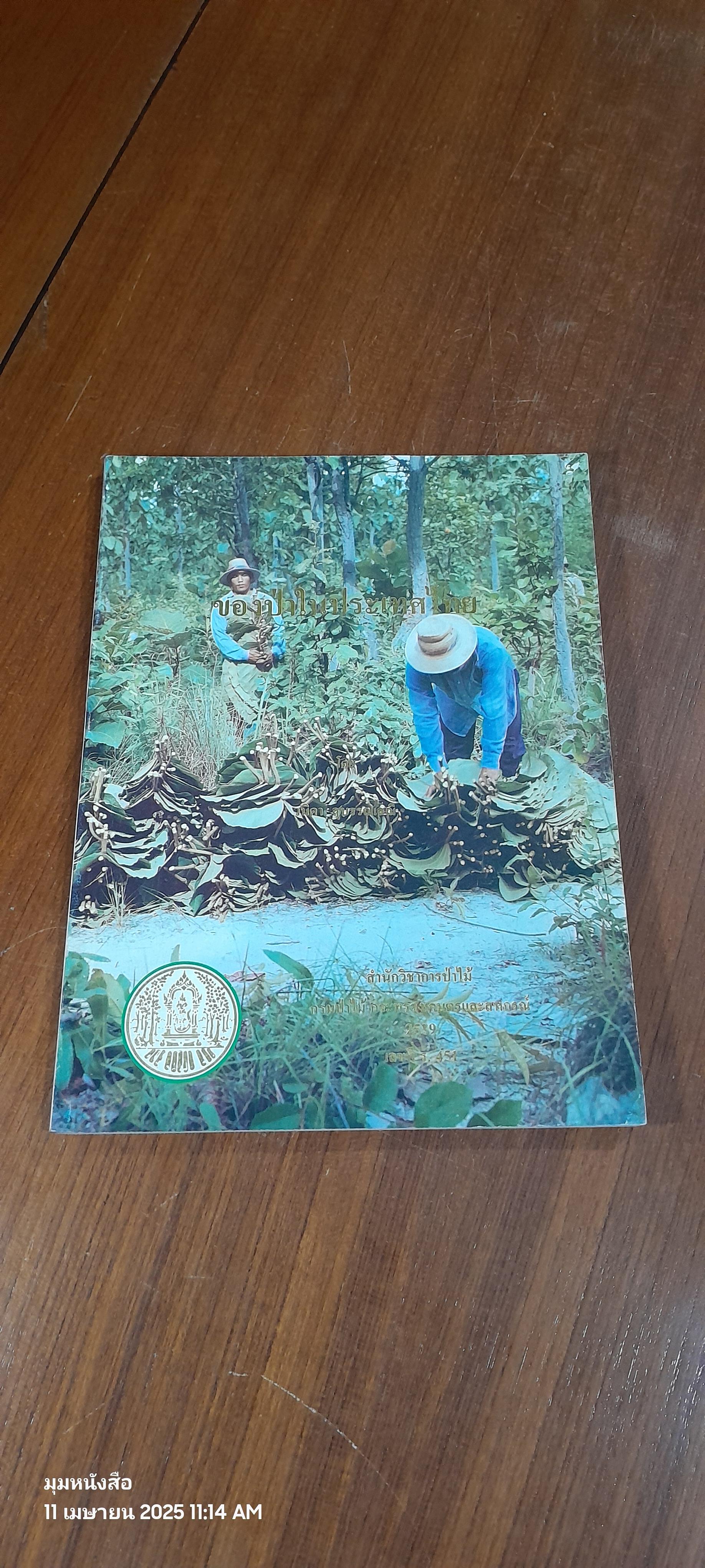 ของป่าในประเทศไทย : สำนักวิชาการป่าไม้