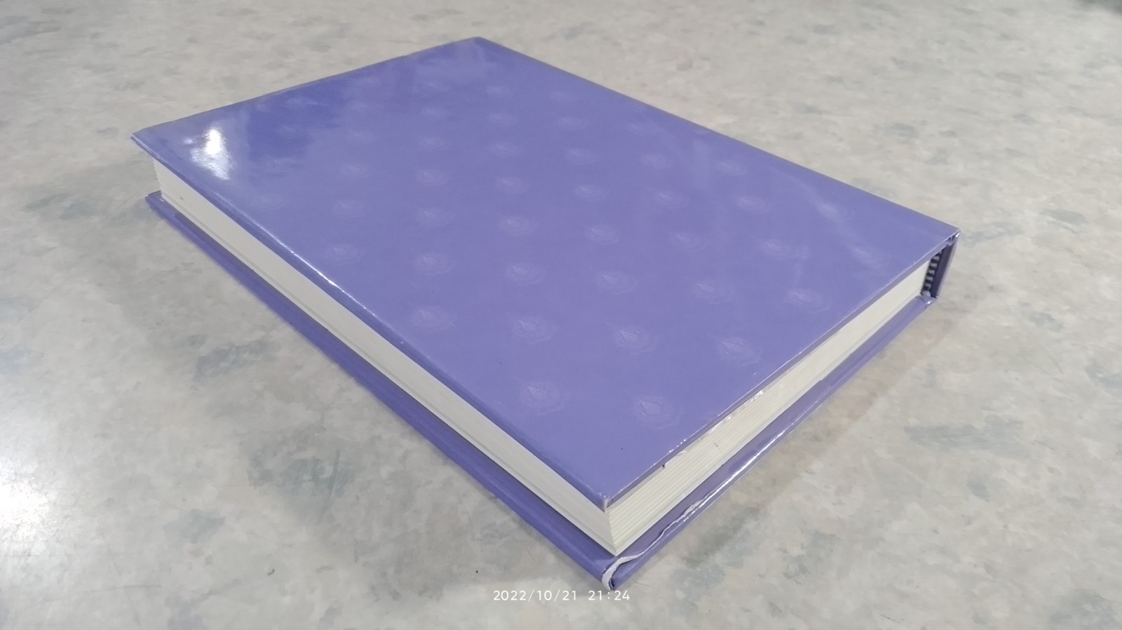 ข้อพึงปฏิบัติในการเข้าเฝ้าทูลละอองธุลีพระบาท