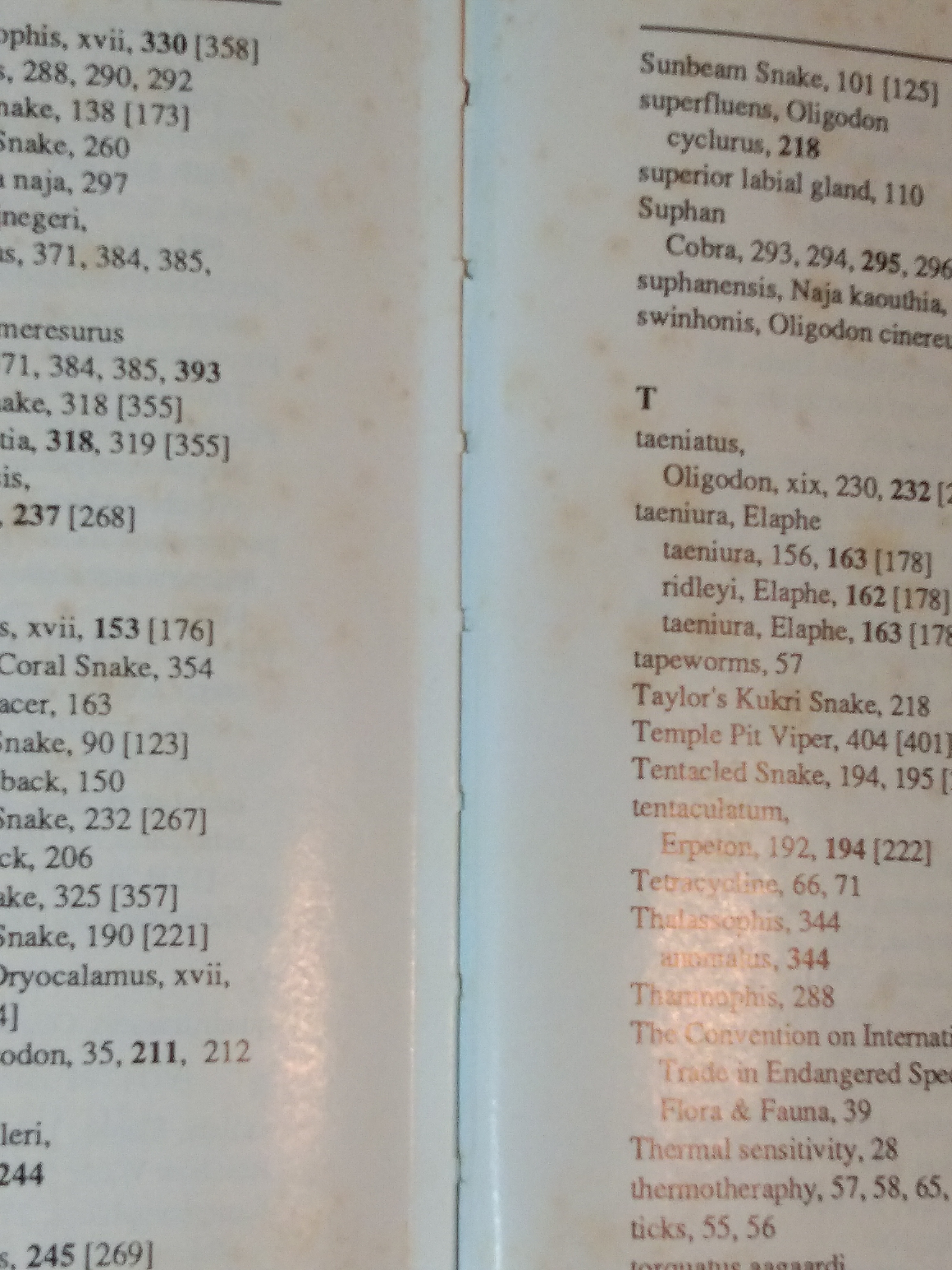 The Snakes of Thailand and Their Husbandry / Merel.J.Cox