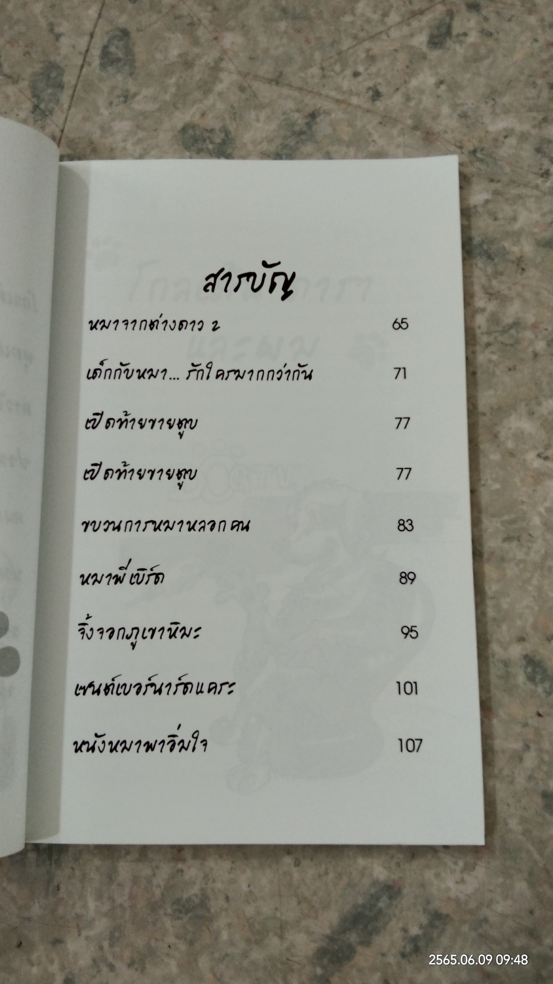 unseen ตูบ / อนุพันธ์ บุญชื่น