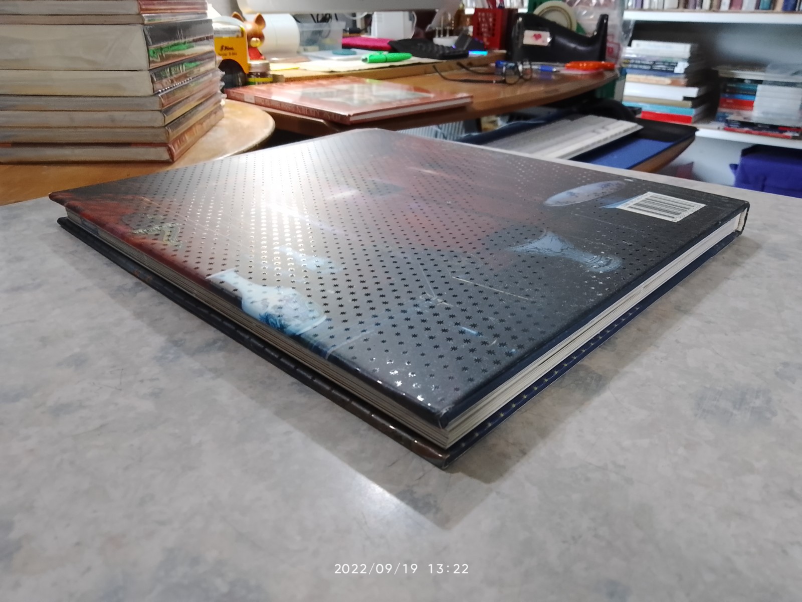 mxm : maximalist interiors / Encarna Castillo