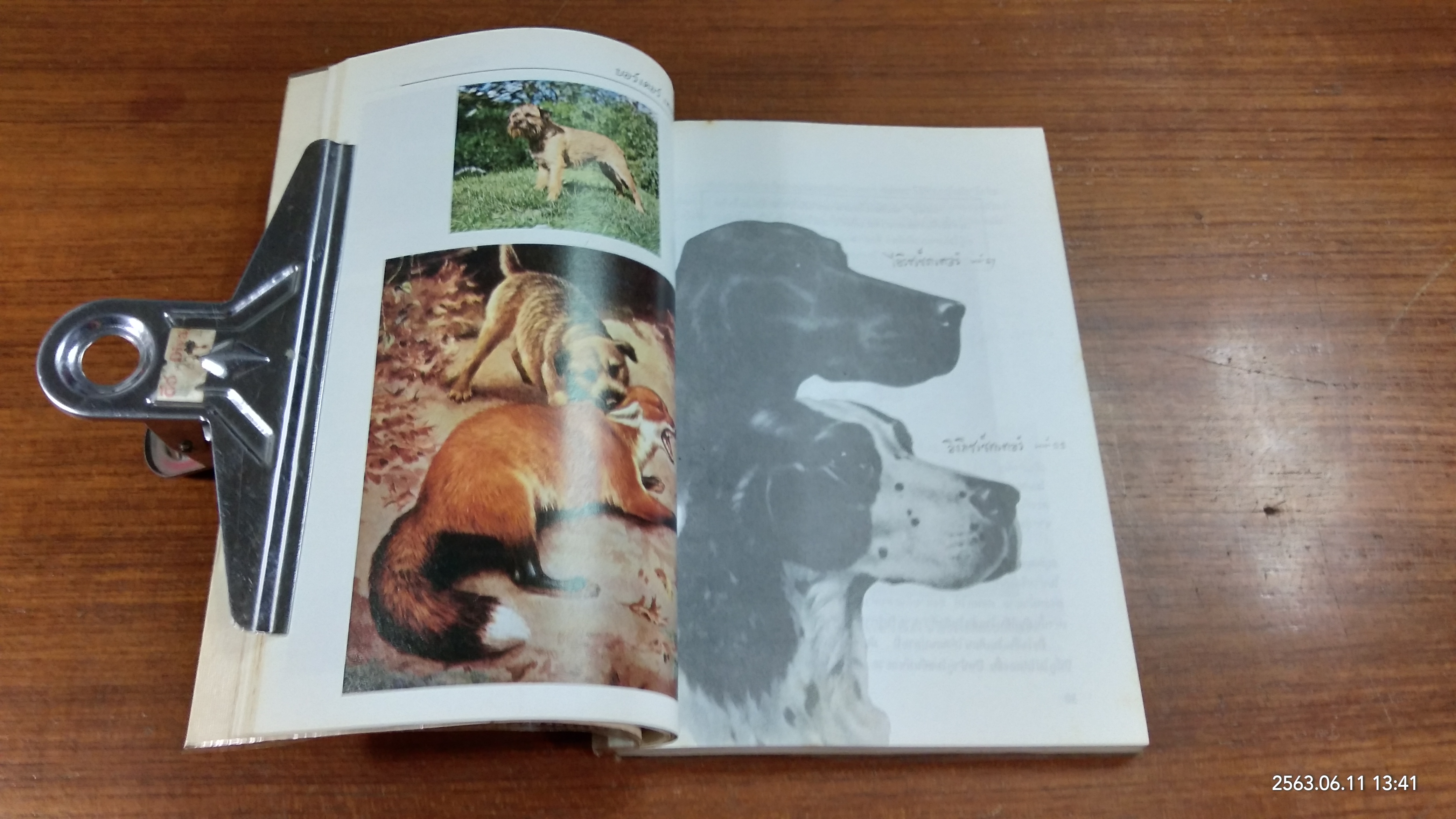 หมาสัตว์เลี้ยงแสนรัก (มีรอยขีดเขียนด้านใน) / จำเนียร เหมะรัต