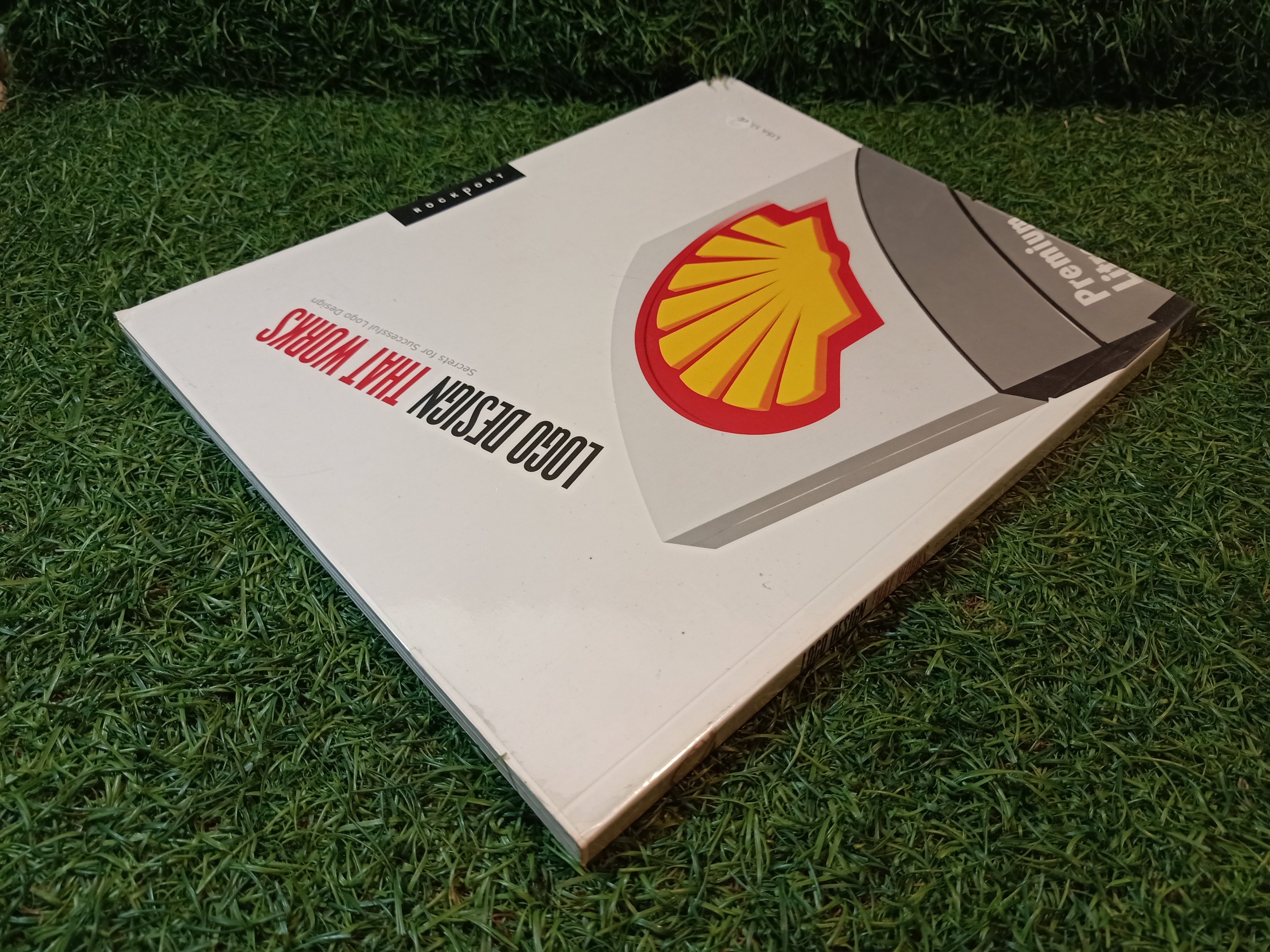 LOGO DESIGN THAT WORKSA Secrrts for Successful Logo Design / SILVER