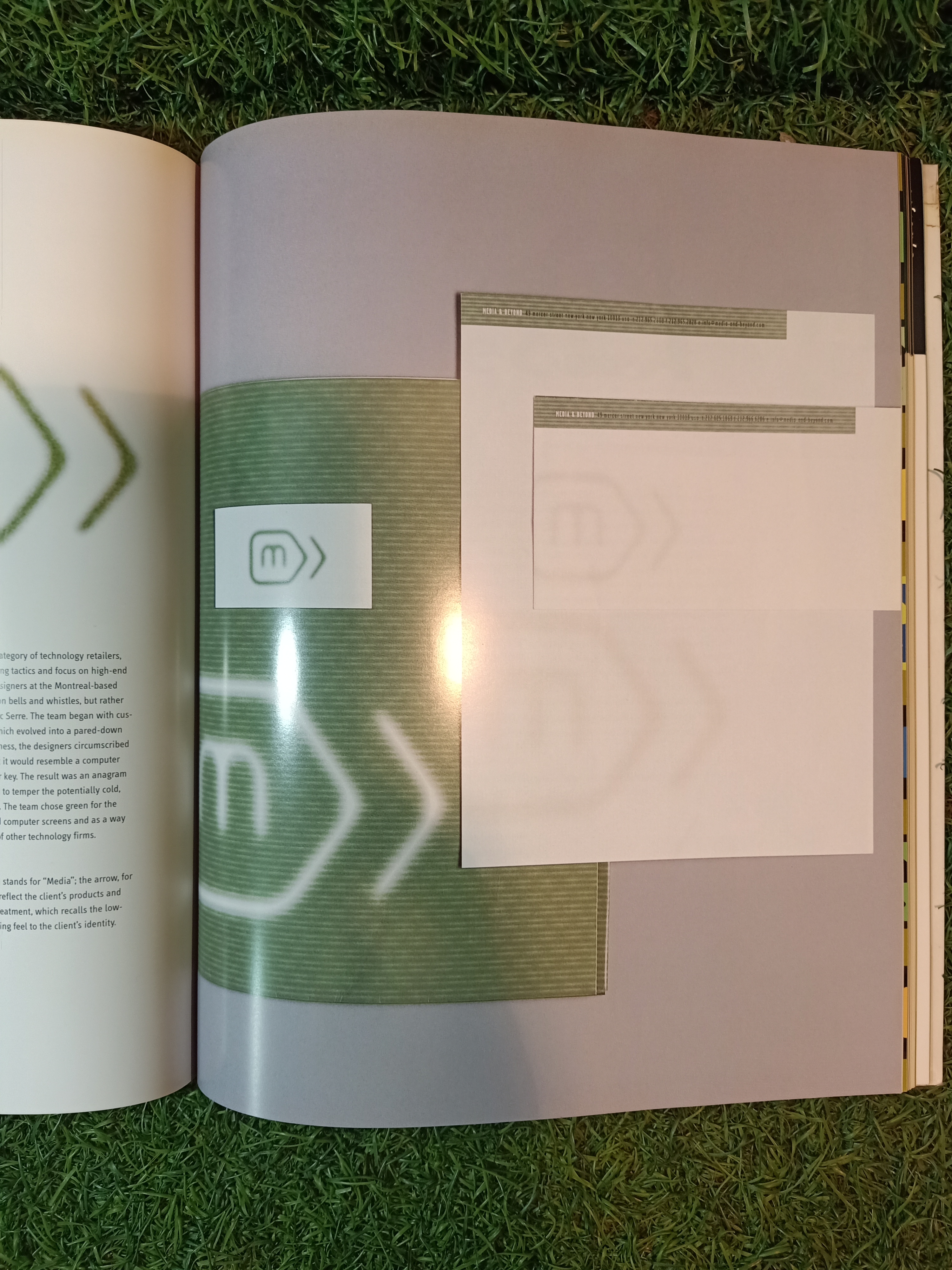 LOGO DESIGN THAT WORKSA Secrrts for Successful Logo Design / SILVER