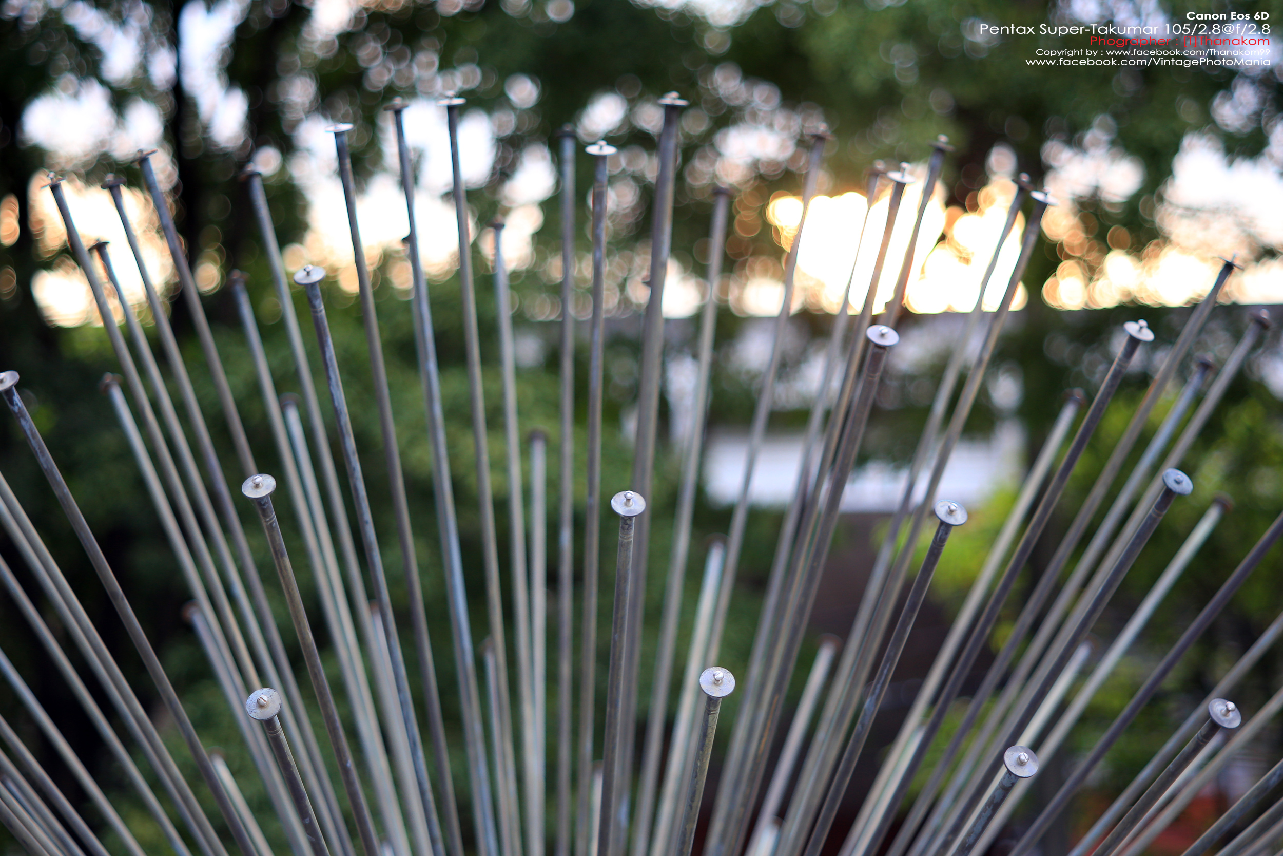 Pentax Super-Multi-Coated Takumar 105/2.8 *M42 Mount เลนส์พรอตเทรตตัวเล็กคมๆ