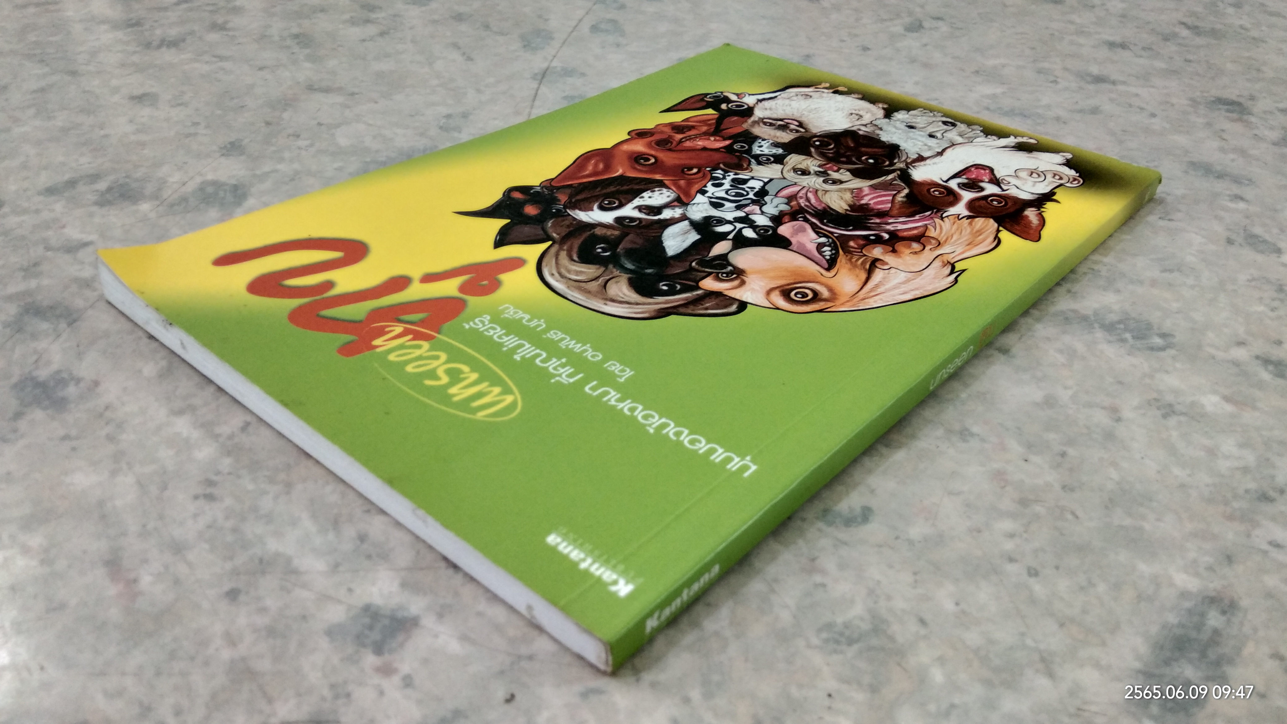 unseen ตูบ / อนุพันธ์ บุญชื่น