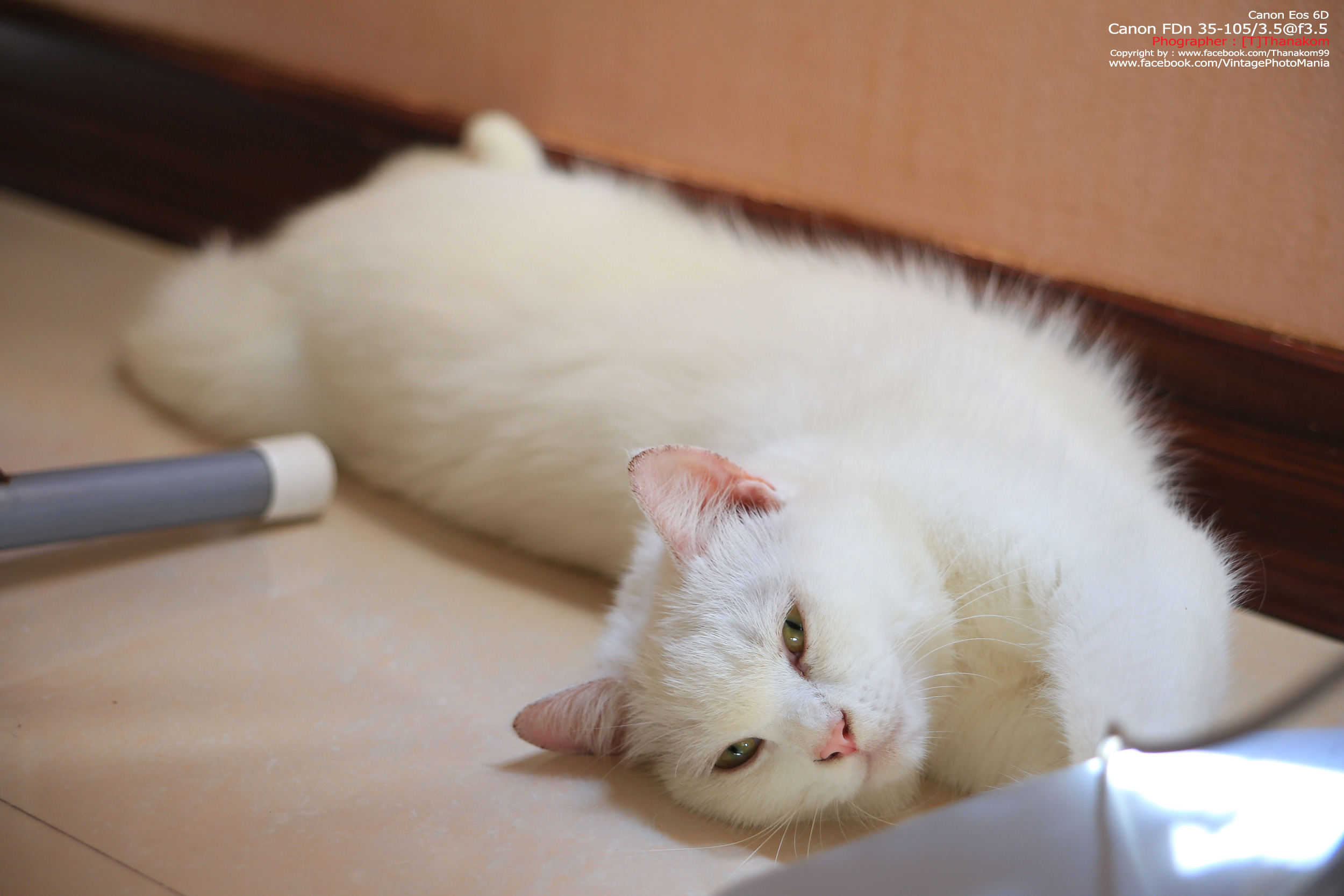 Canon FD 35-105/3.5 *FD Mount เลนส์อเนกประสงค์ไวแสงเอฟไม่ไหล