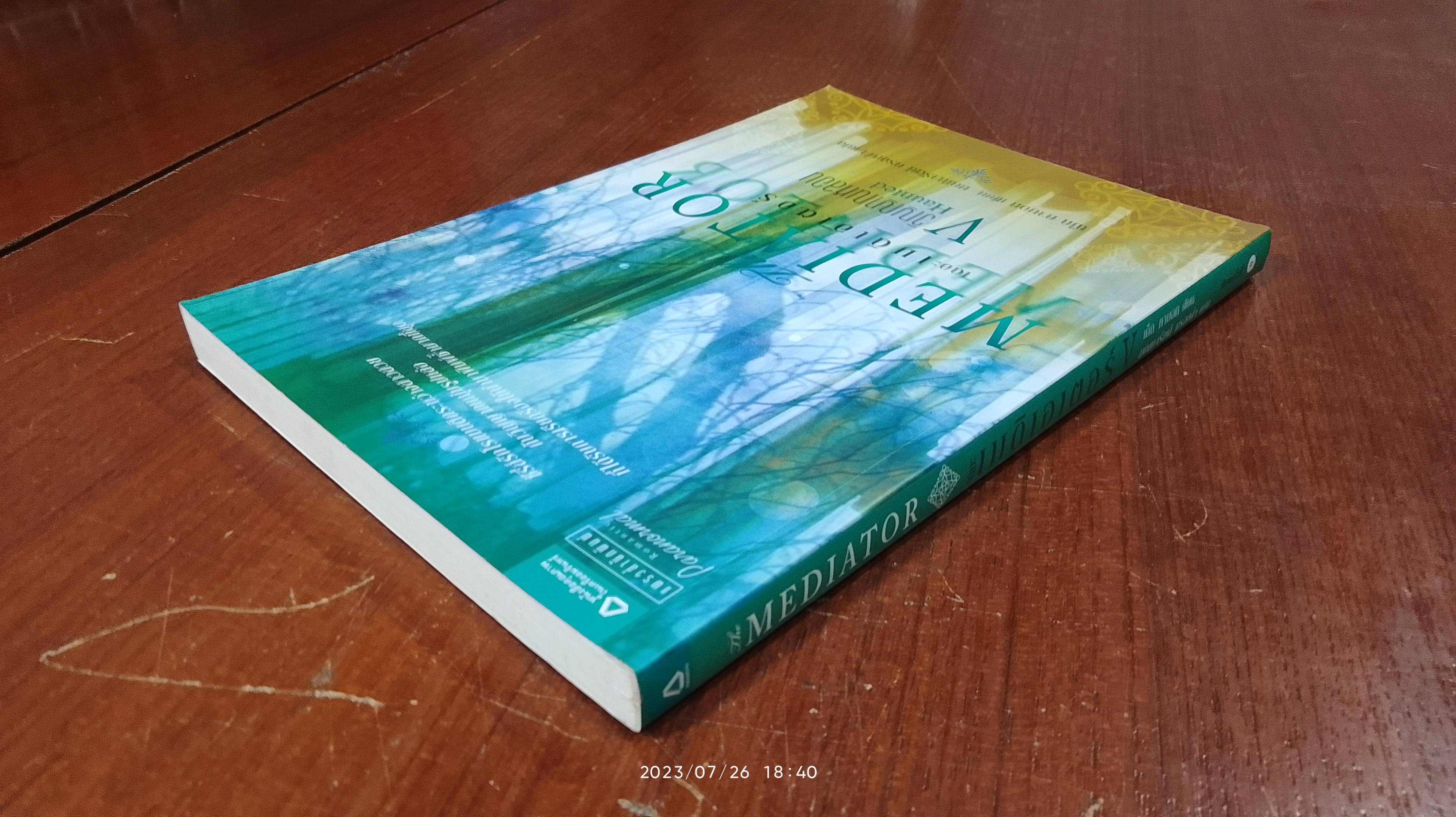 เดอะ เมดิเอเตอร์ V วิญญาณหลอน / เม็ก คาบอท