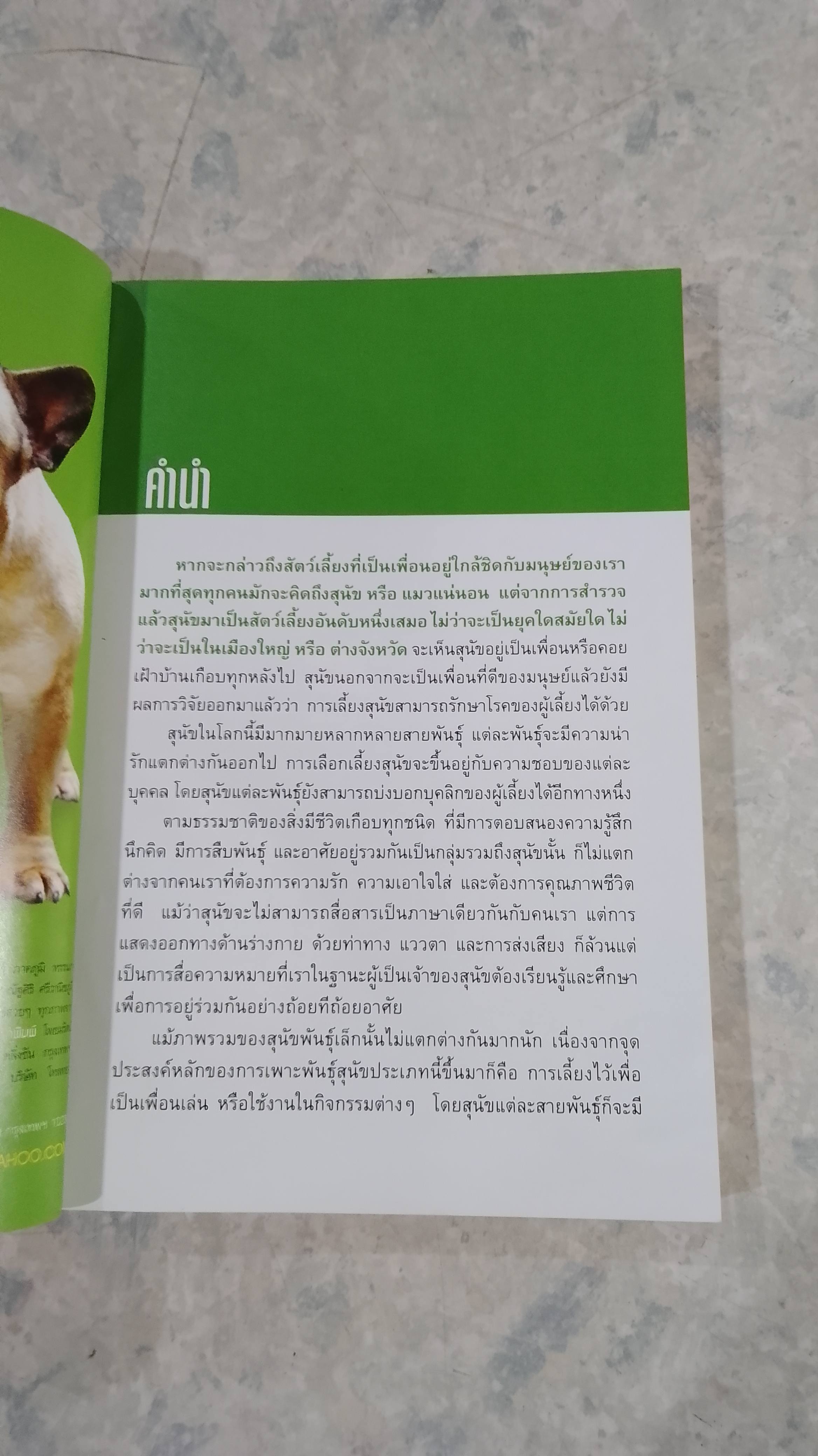 DOG IN THAILAND VOLUME 1 / ทวีศักดิ์