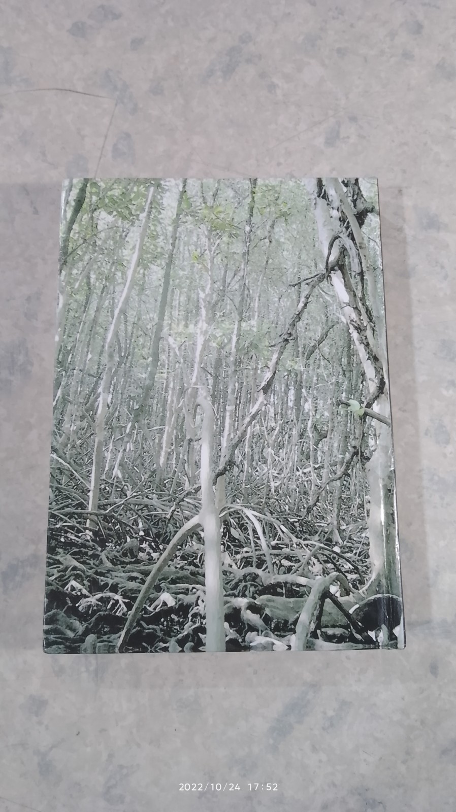 ความหลากหลายทางชีวภาพในป่าชายเลน อ่าวพังงา