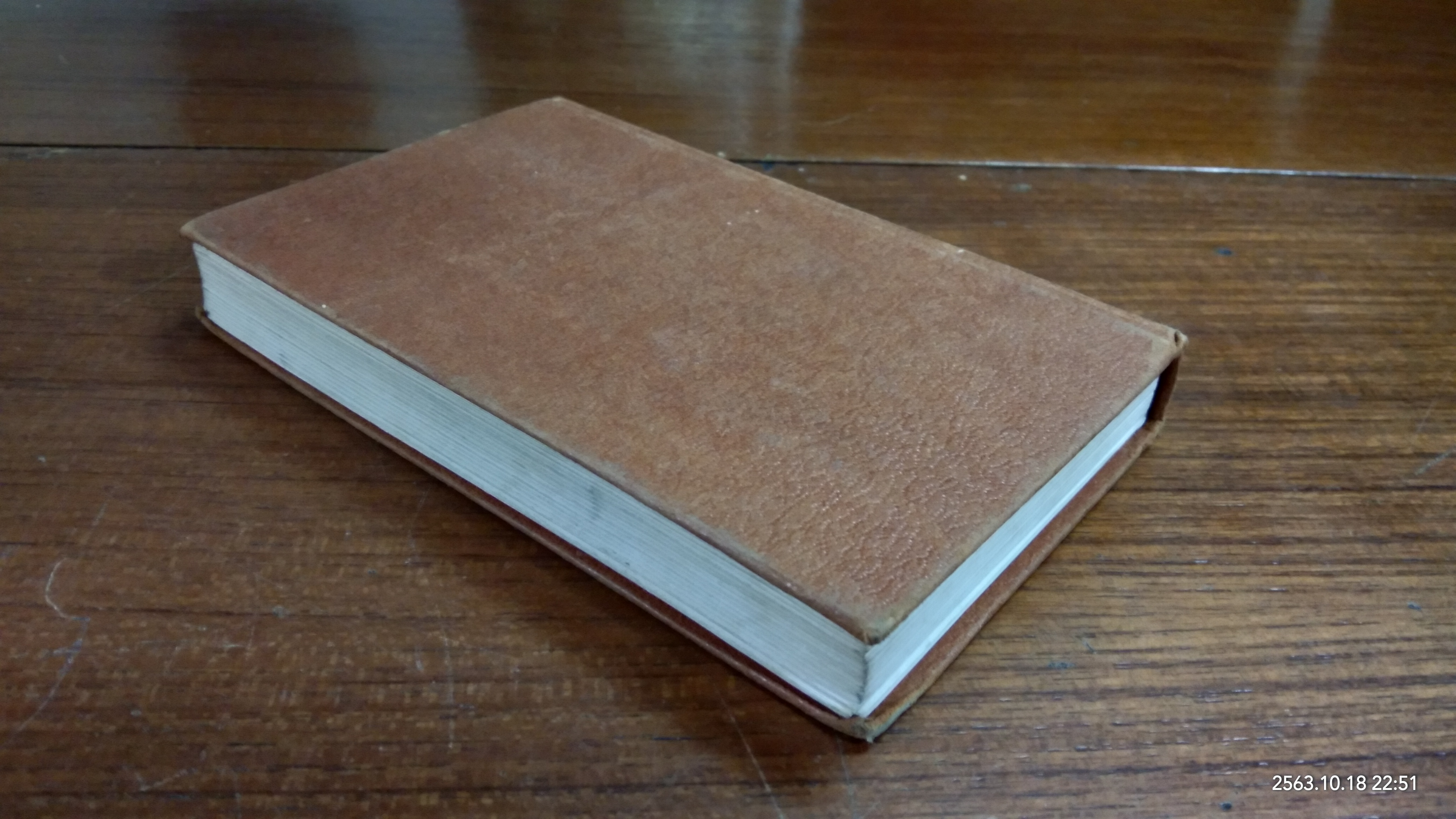 HORSES & PONIES / R.S. SUMMERHAYS