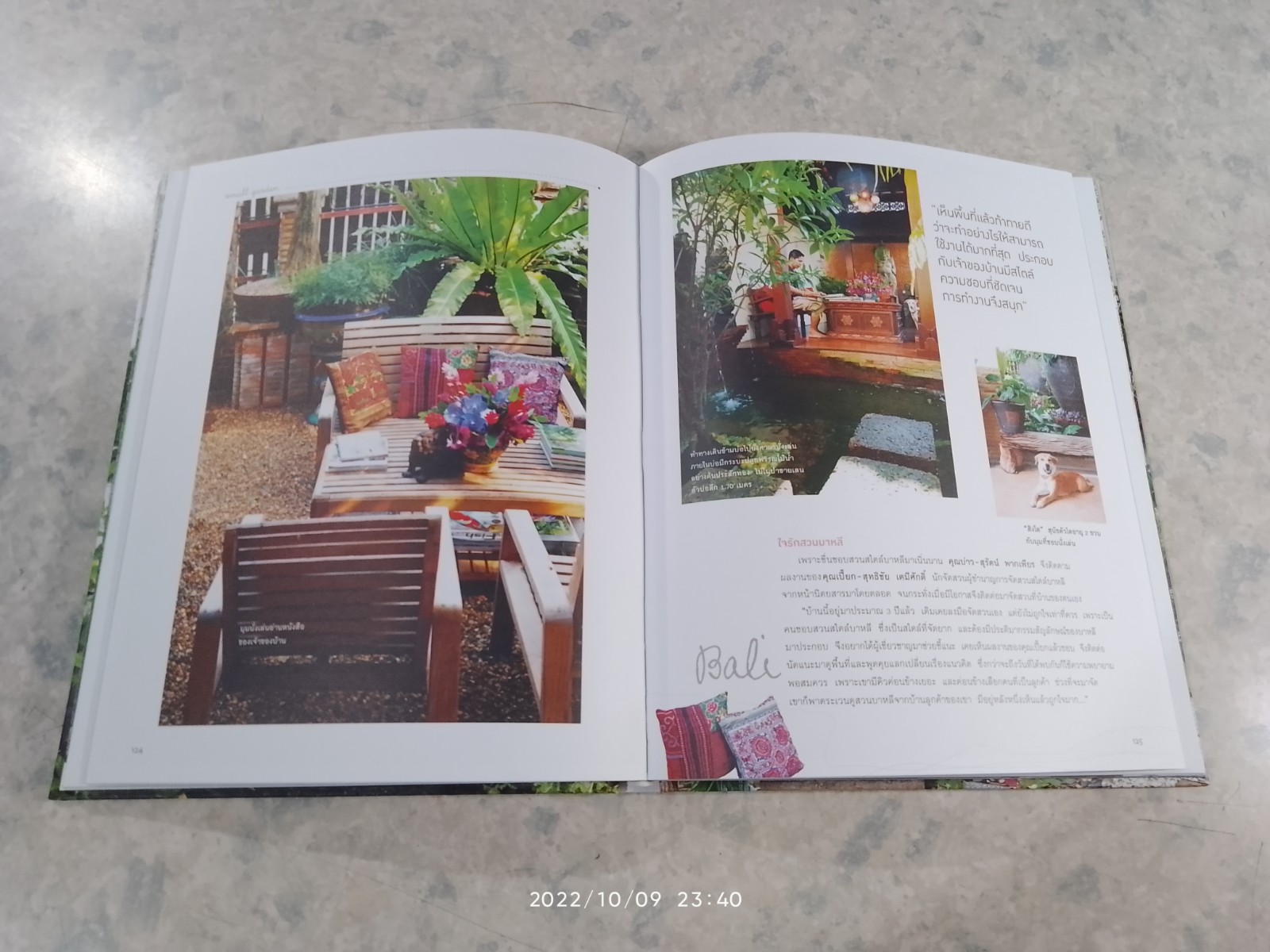 พื้นที่เล็กของคนรักสวน / ทิพาพรรณ ศิริเวชฏารักษ์