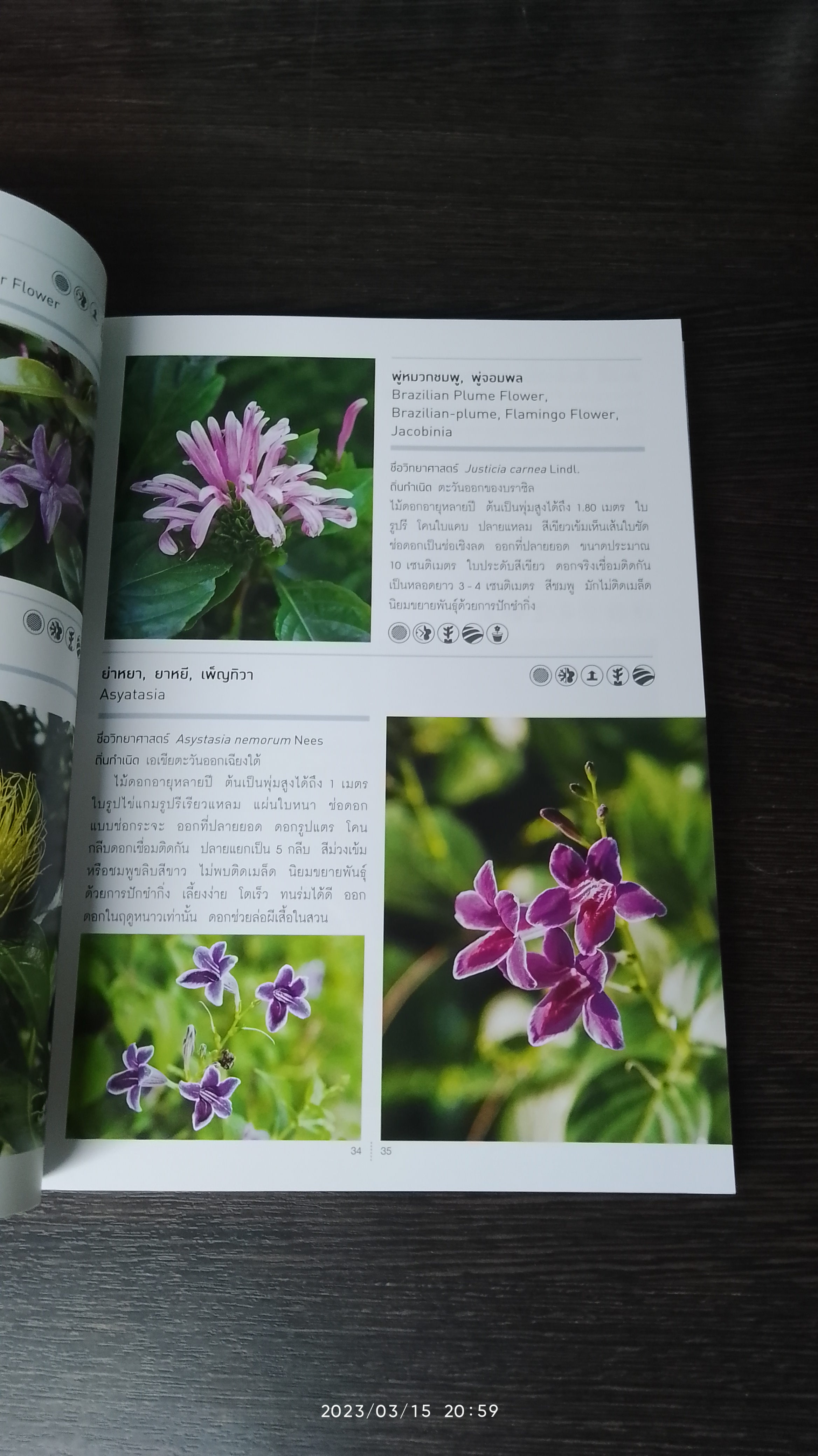 รวมพันธุ์ไม้ดอก...Flowering Plants + ไดอารี่ พร้อมกล่อง / อุไร จิรมงคลการ