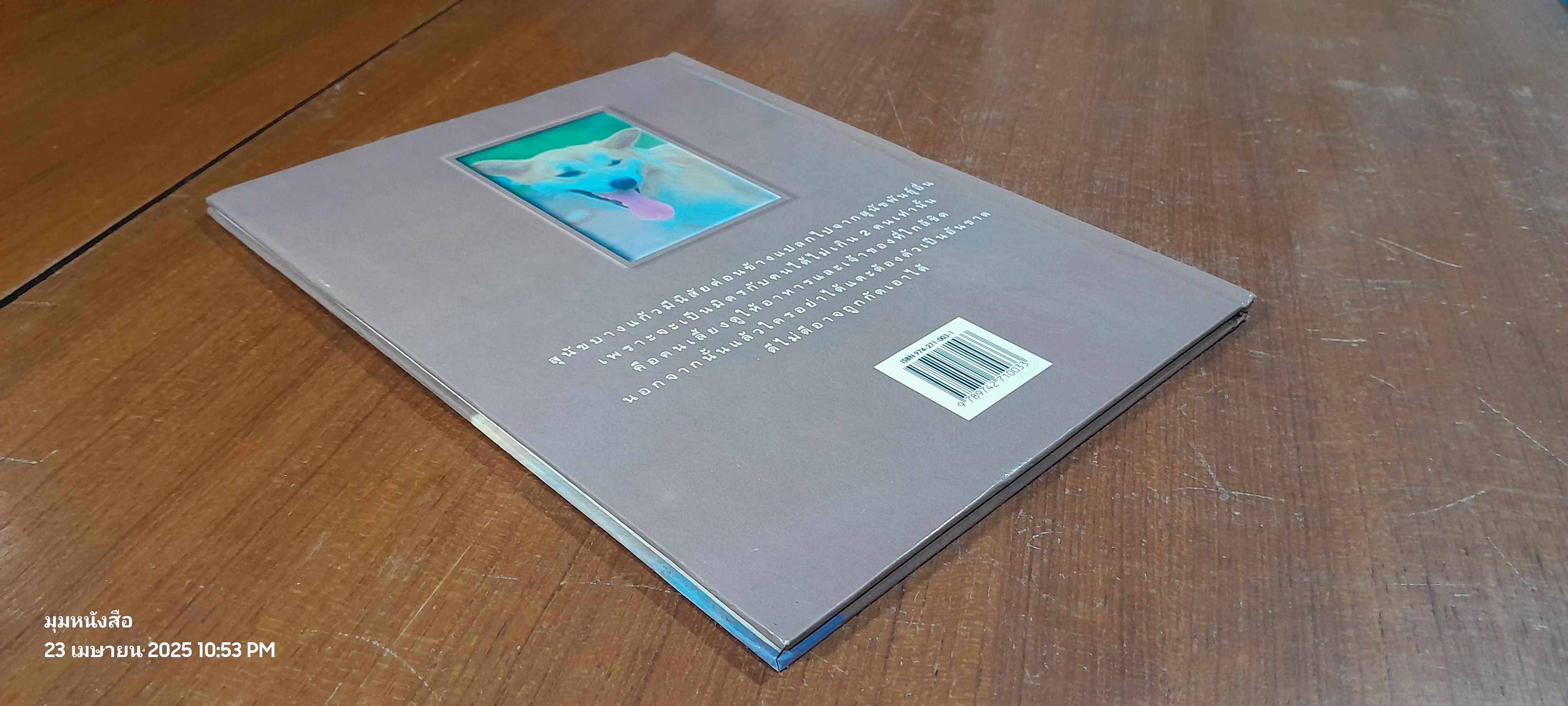 สุนัขบางแก้ว / วิชิต สิงห์ทอง