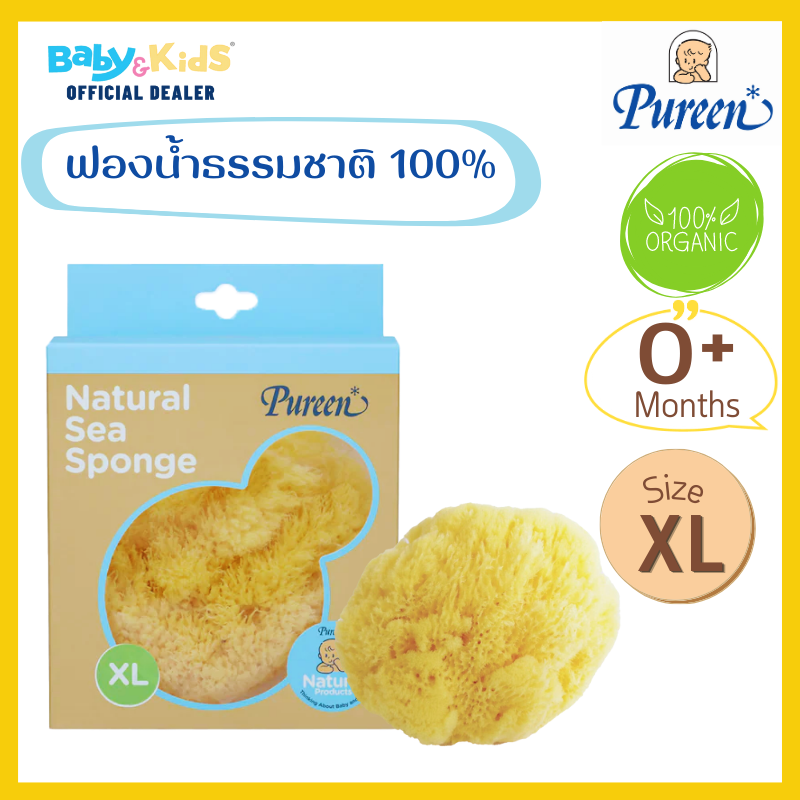 Pureen ฟองน้ำธรรมชาติอาบเด็ก ฟองน้ำธรรมชาติแท้ 100% size. XL