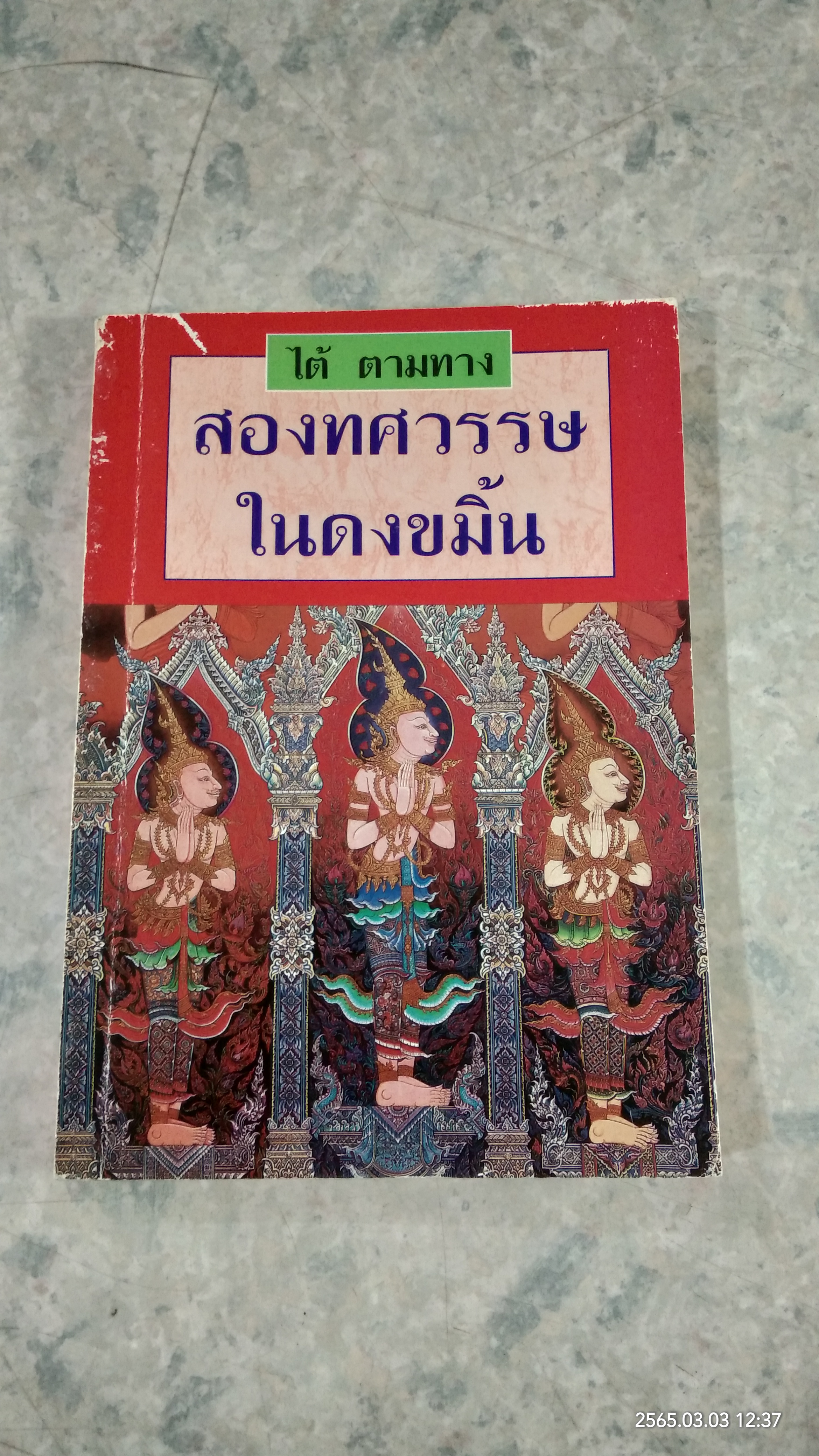 สองทศวรรษในดงขมิ้น / ไต้ ตามทาง