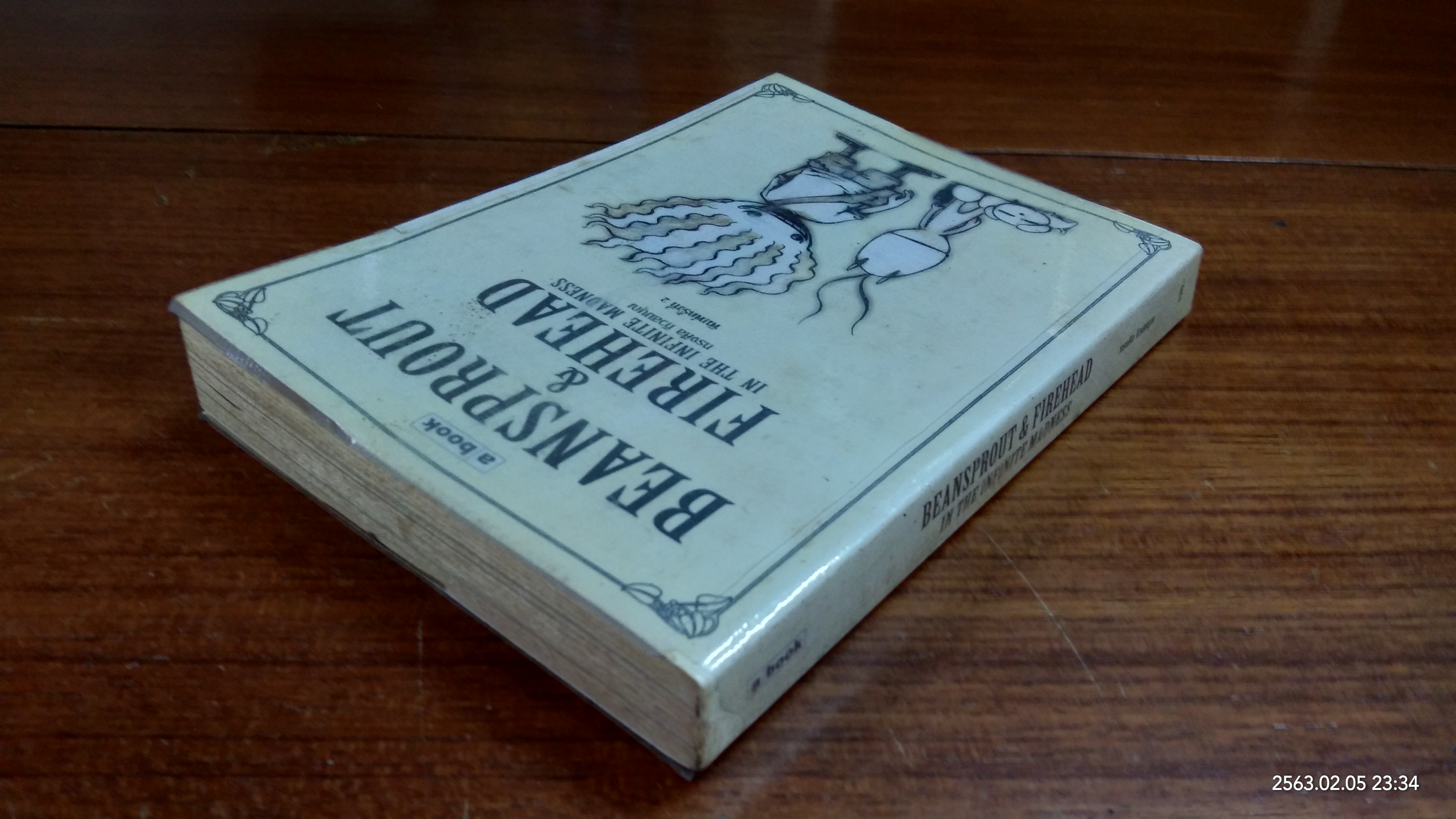 BEANSPROUT & FIREHEAD IN THE INFINITE MADNESS