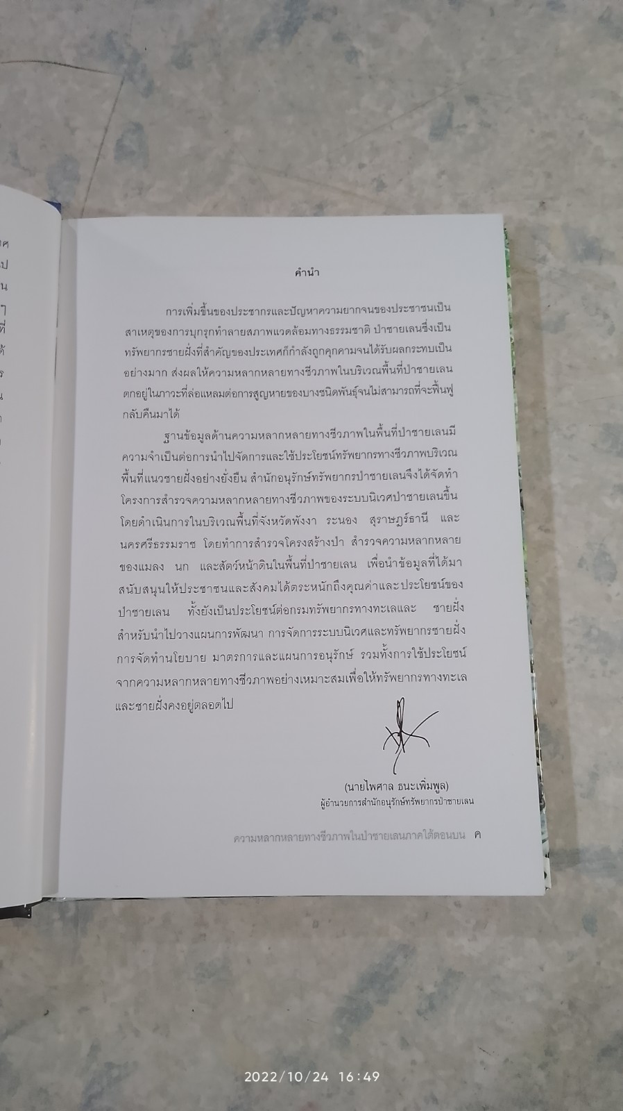 ความหลากหลายทางชีวภาพในป่าชายเลน ภาคใต้ตอนบน