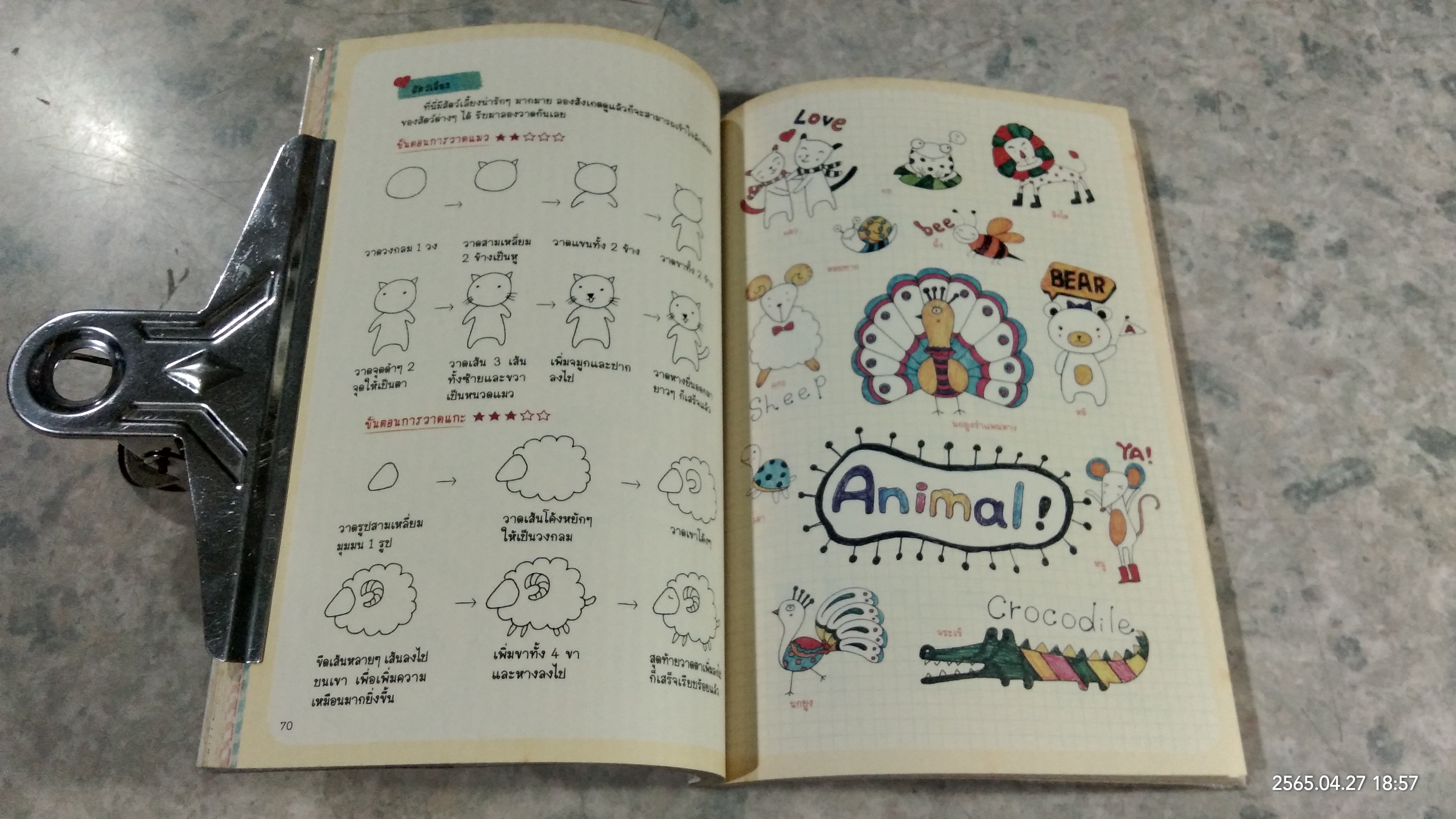 1,000 ภาพวาดสุดน่ารักด้วยปากกาลูกลื่นหลากสีสัน / Amily