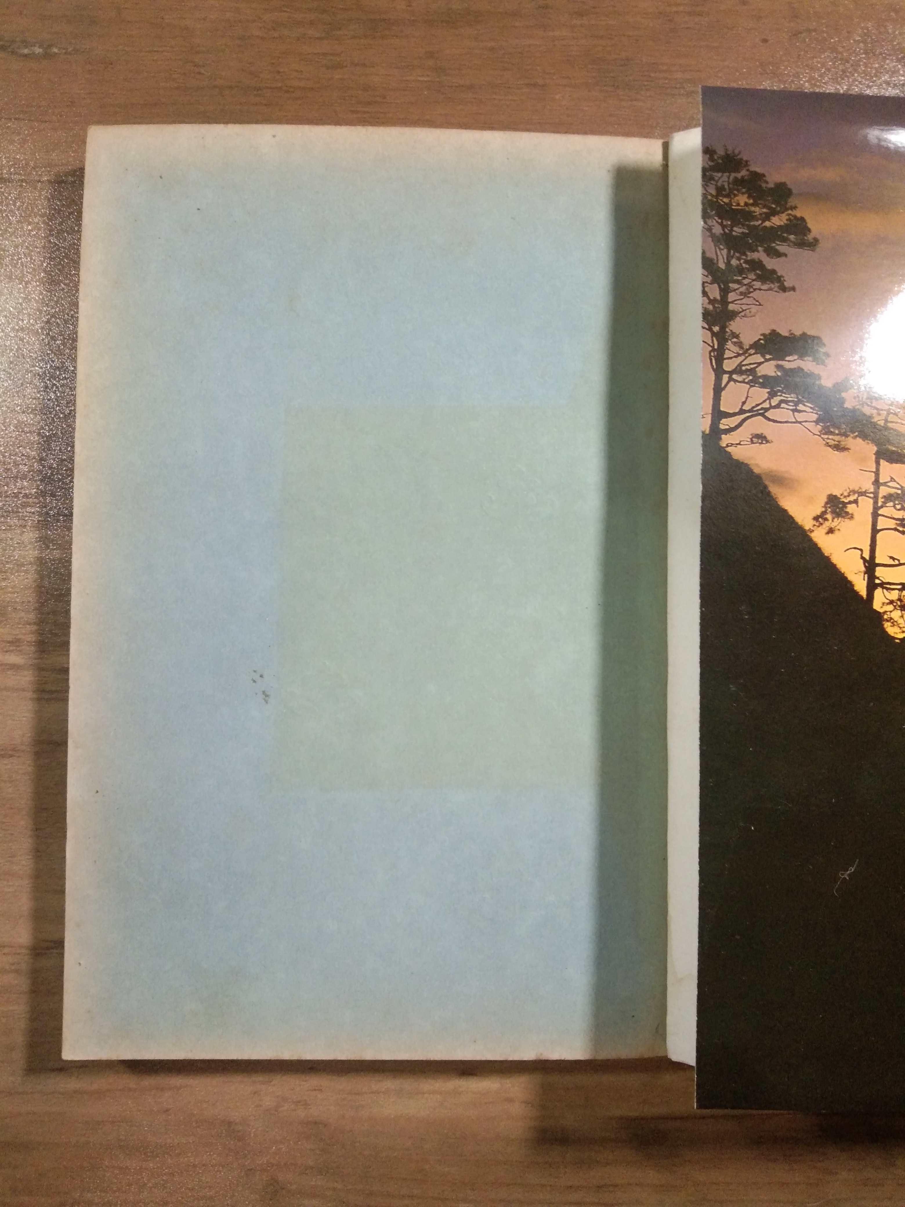 คนเดินป่า / สุรจิต จามรมาน