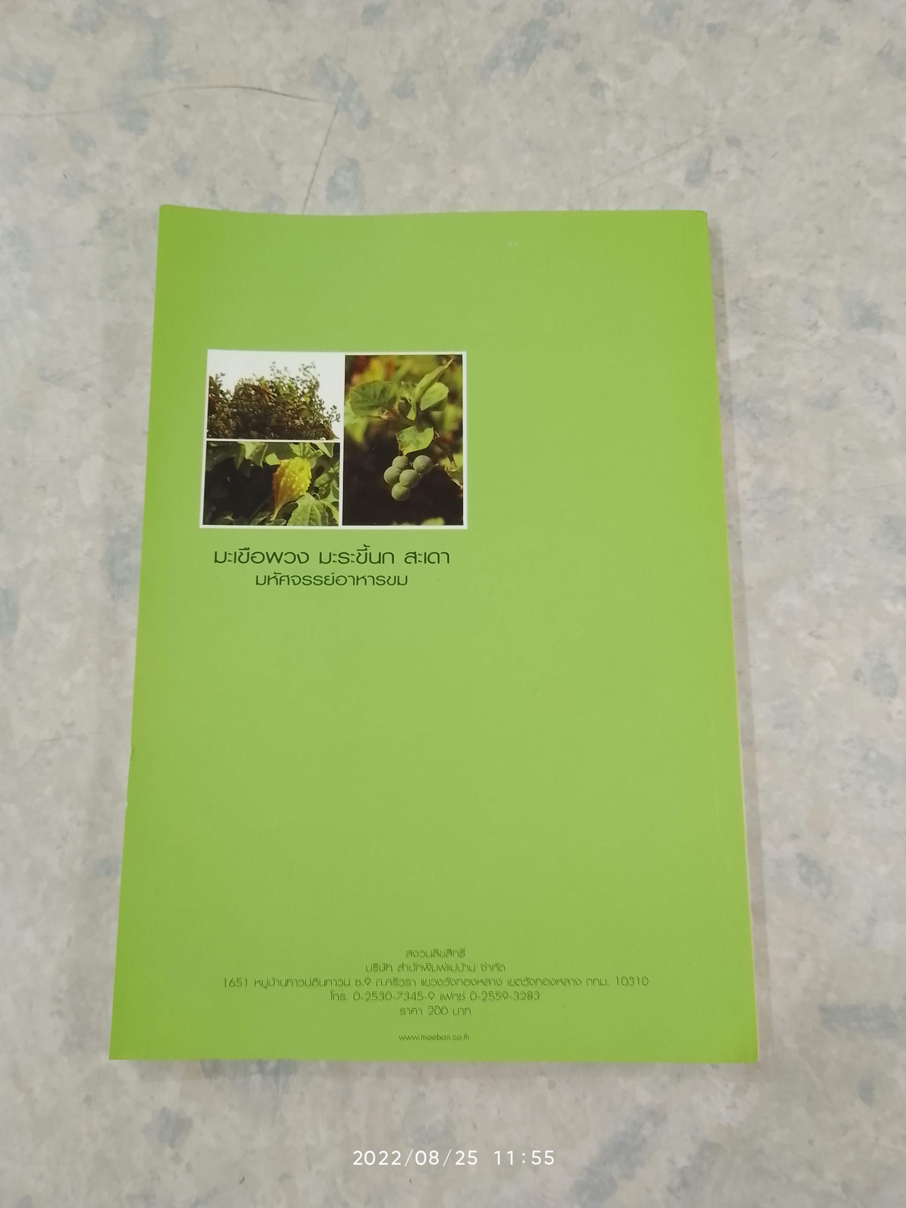 มะเขือพวง มะระขี้นก สะเดา มหัศจรรย์อาหารขม