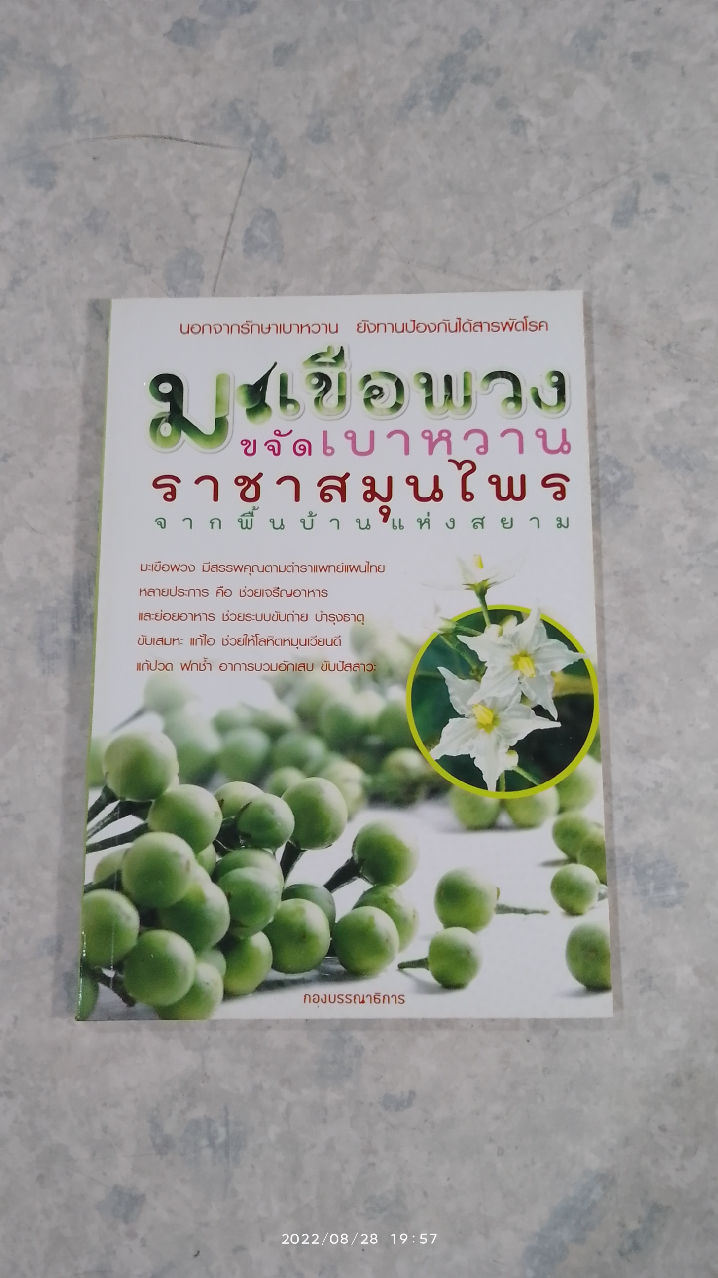 มะเขือพวง ขจัดเบาหวาน ราชาสมุนไพร จากพื้นบ้านแห่งสยาม