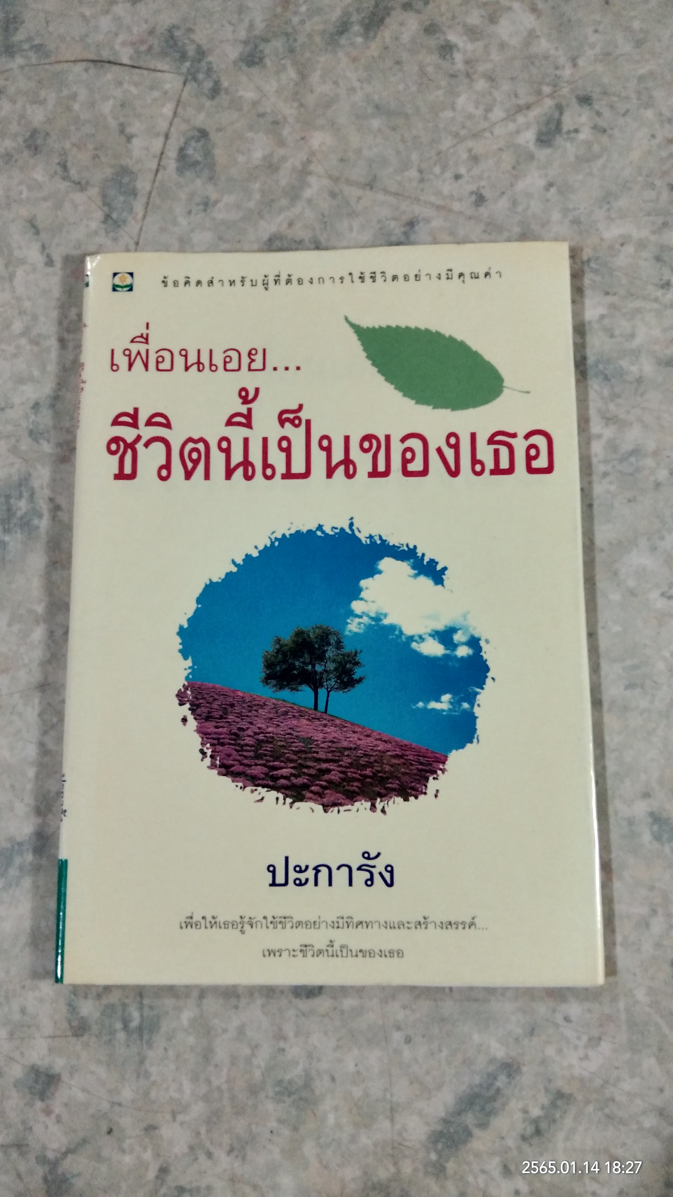 เพื่อนเอย...ชีวิตนี้เป็นของเธอ / ปะการัง