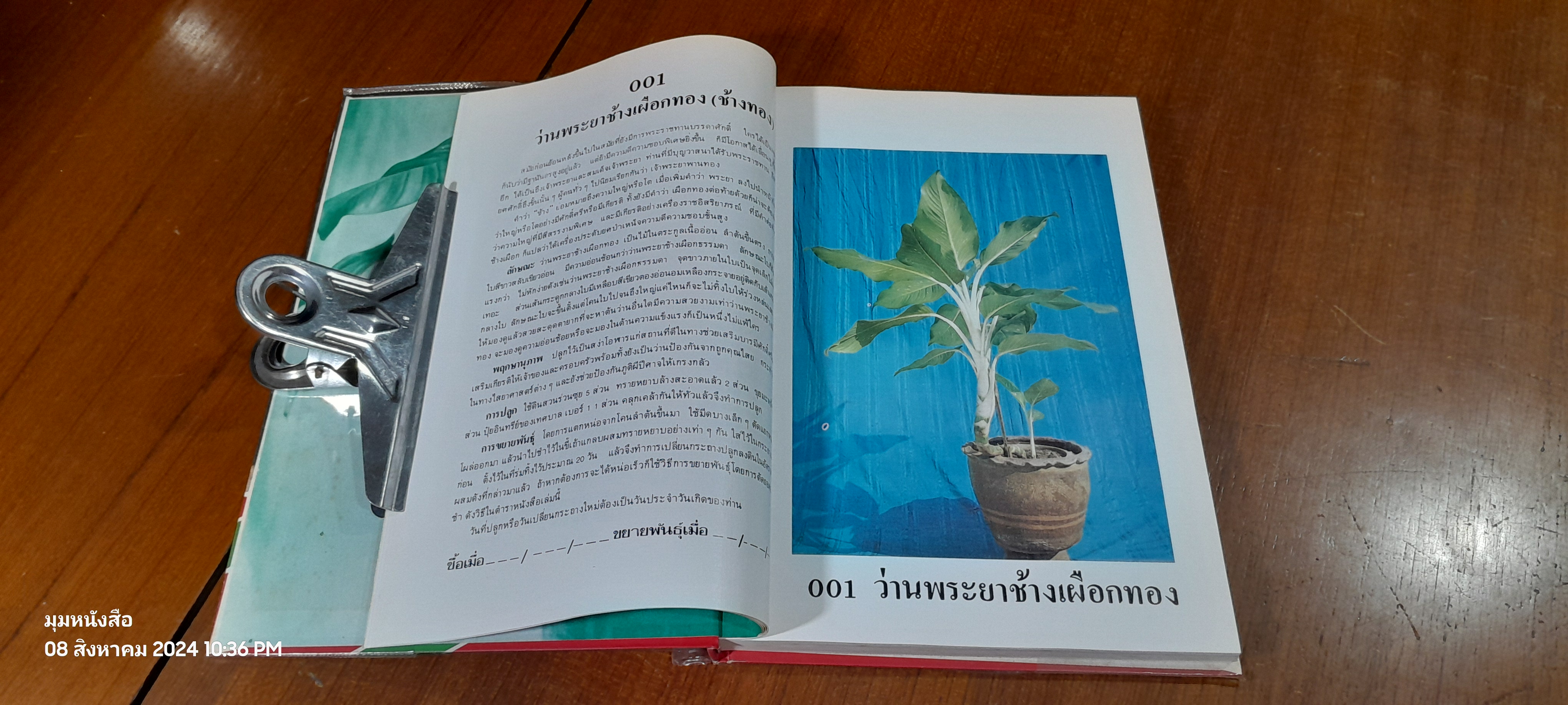 คัมภีร์ว่านและไม้มงคล / สนั่น ทวีสมบัติ