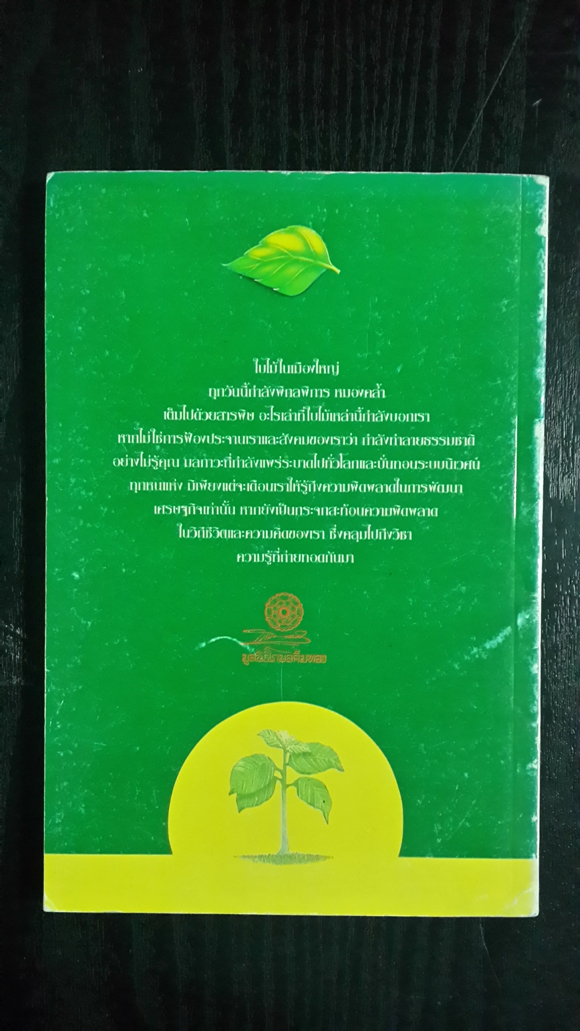 ใบไม้ใบหนึ่ง / รองริน วรัญญ์