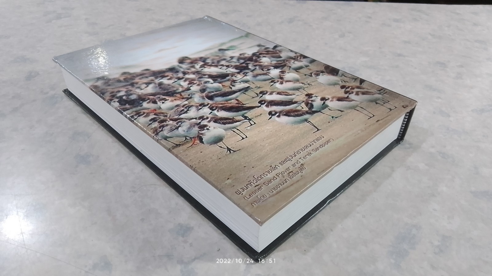 ความหลากหลายทางชีวภาพในป่าชายเลน ฝั่งอ่าวไทยและอันดามันตอนล่าง