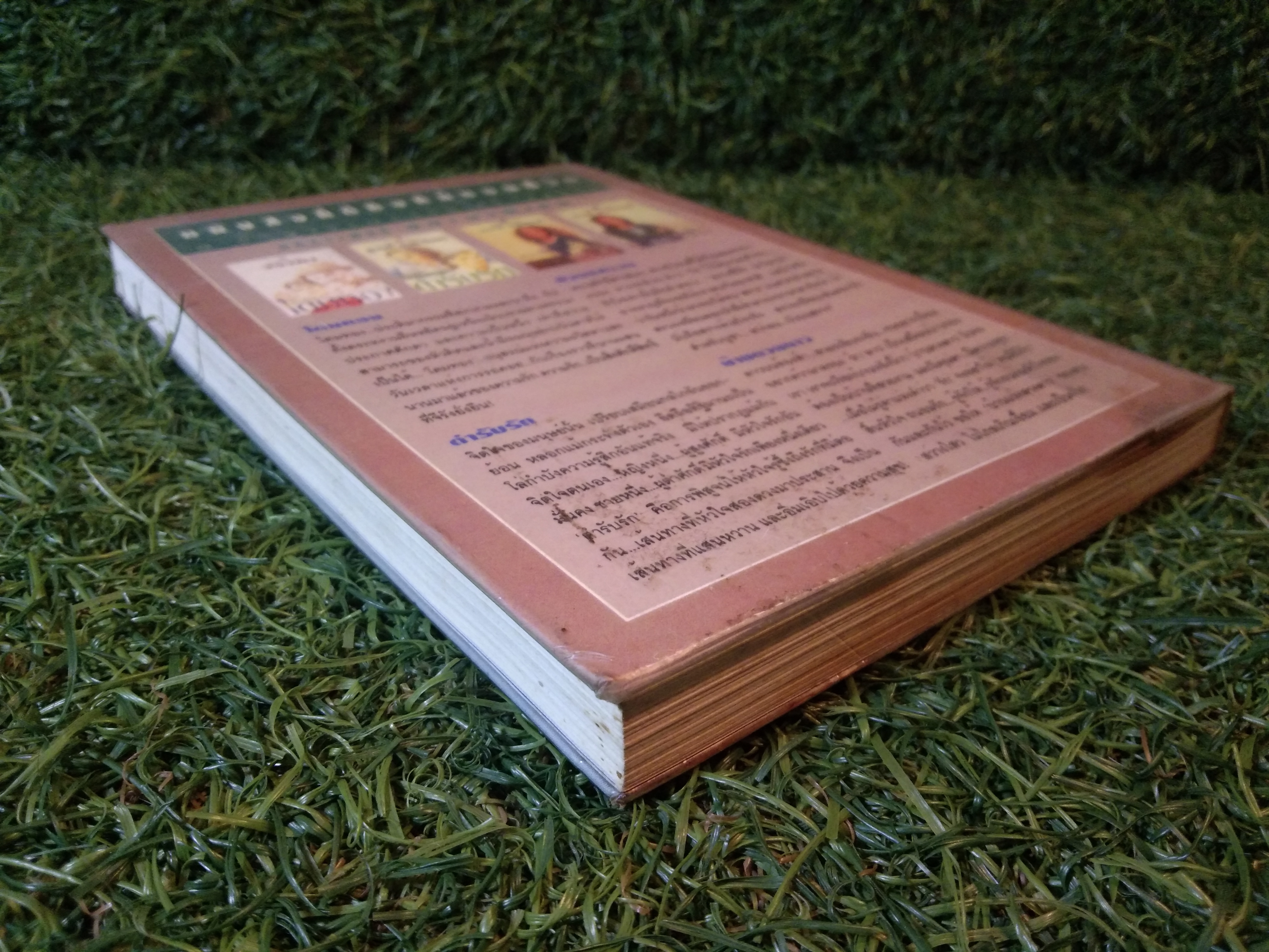 โรสลาเรน เงา (เล่ม1-2 จบชุด) / สำนักพิมพ์ ณ บ้านวรรณกรรม (เล่มที่2สภาพไม่สมบูรณ์)