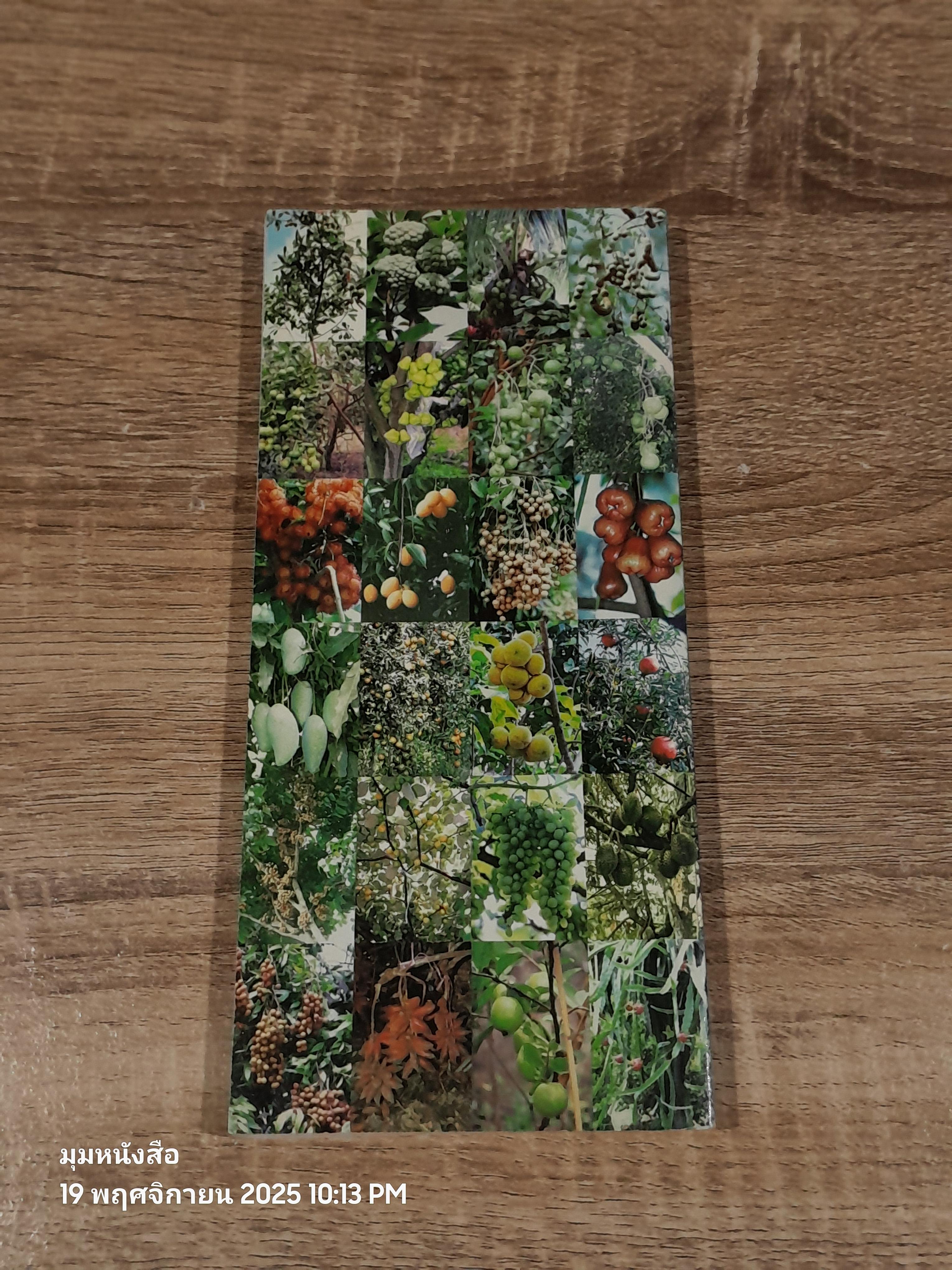 ปุ๋ยน้ำชีวภาพ สูตร กล้อมแกล้ม / คิม ซา กัสส์