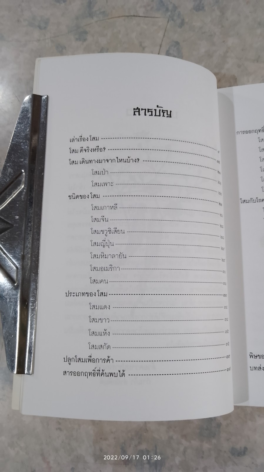 มหัศจรรย์แห่งโสม / นวลปราง ฉ่องใจ