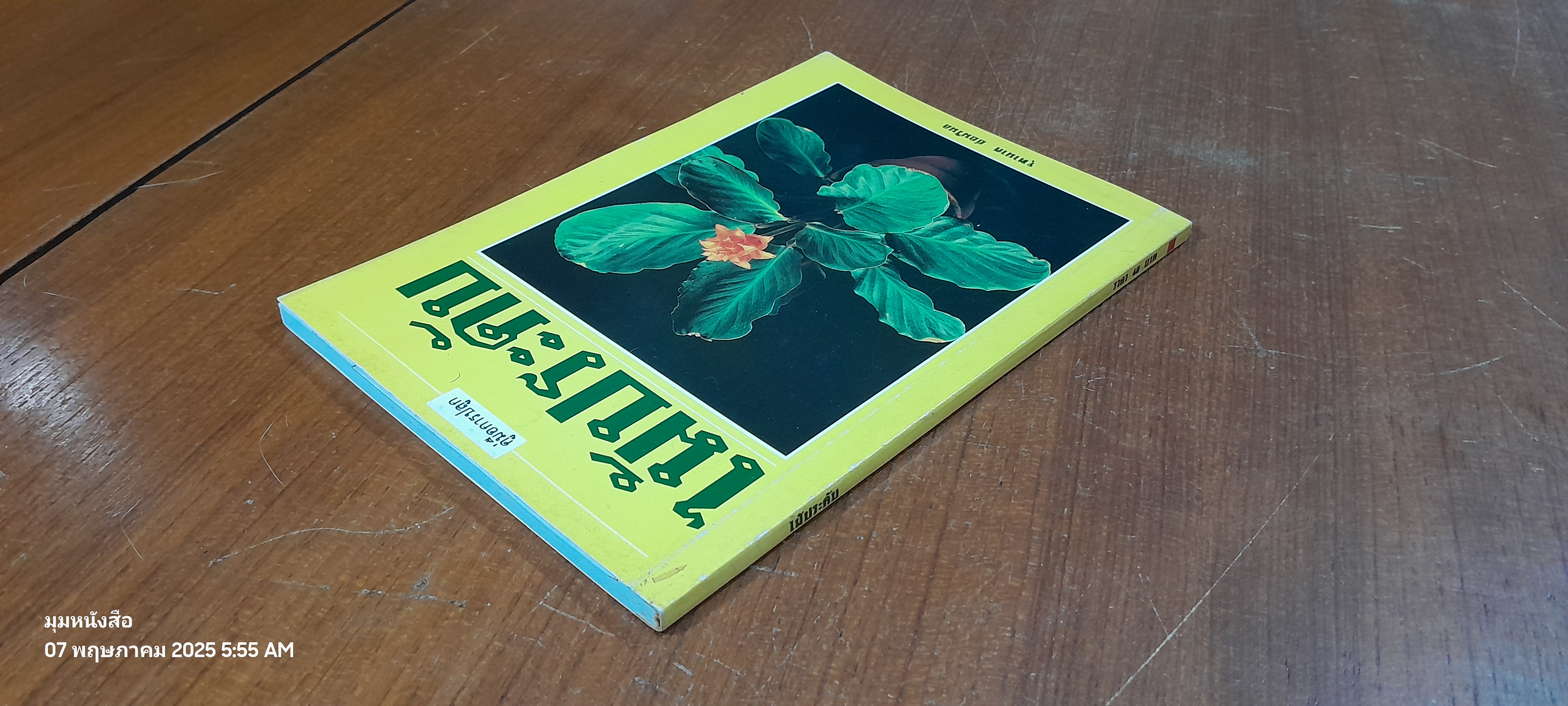 คู่มือการปลูก ไม้ประดับ