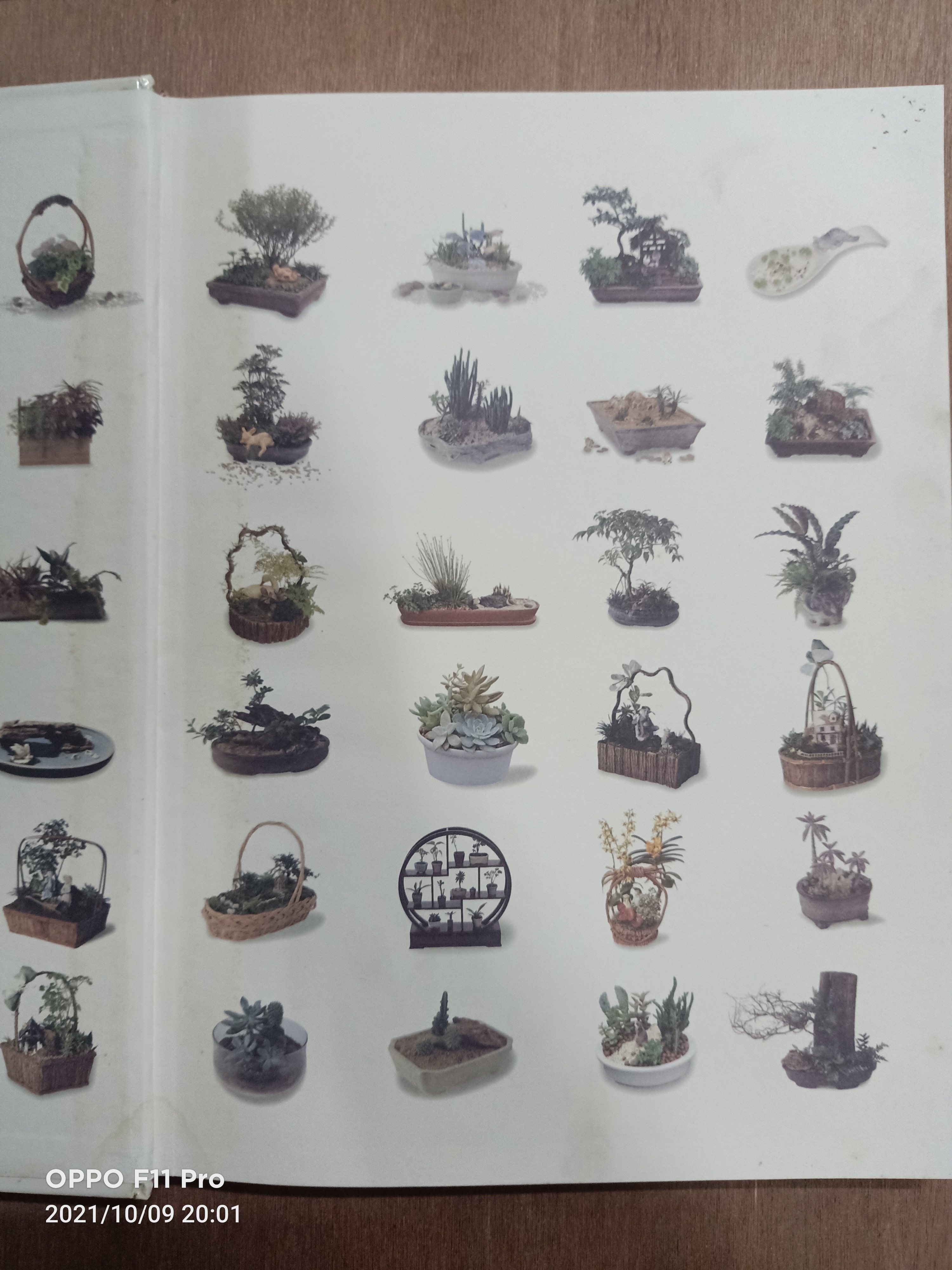 สวนในบ้าน เล่มที่4 การจัดสวนถาด / บ้านและสวน