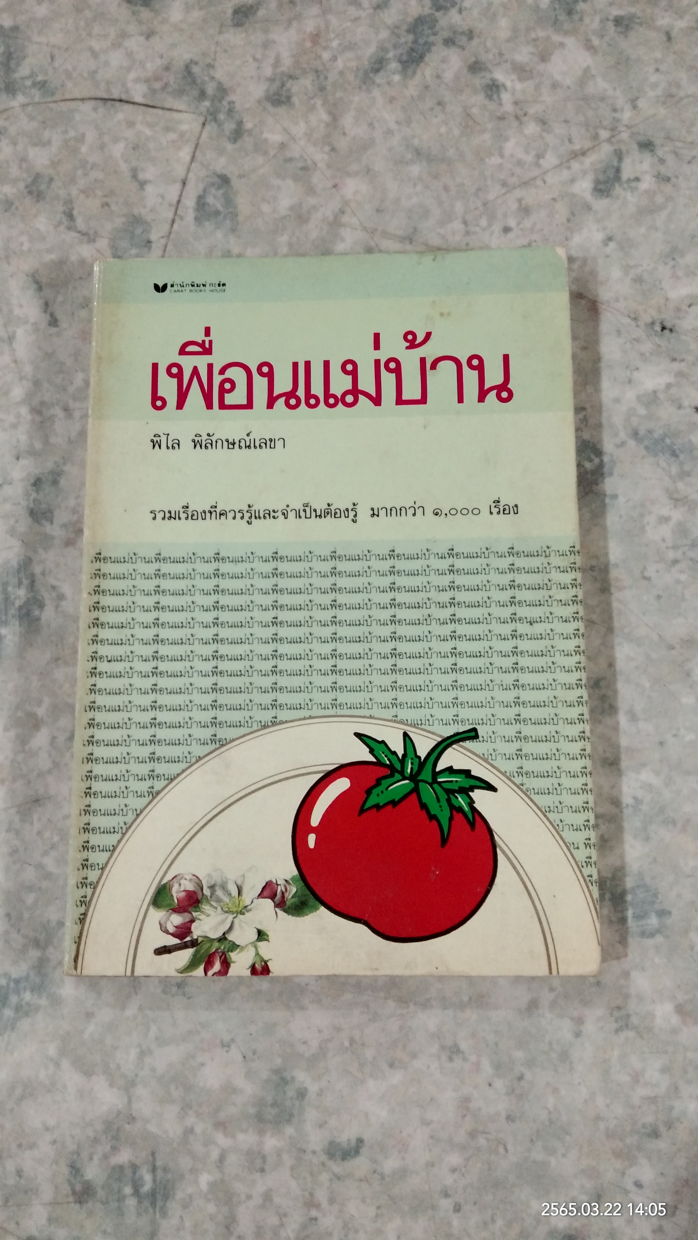 เพื่อนแม่บ้าน / พิไล พิลักษณ์เลขา