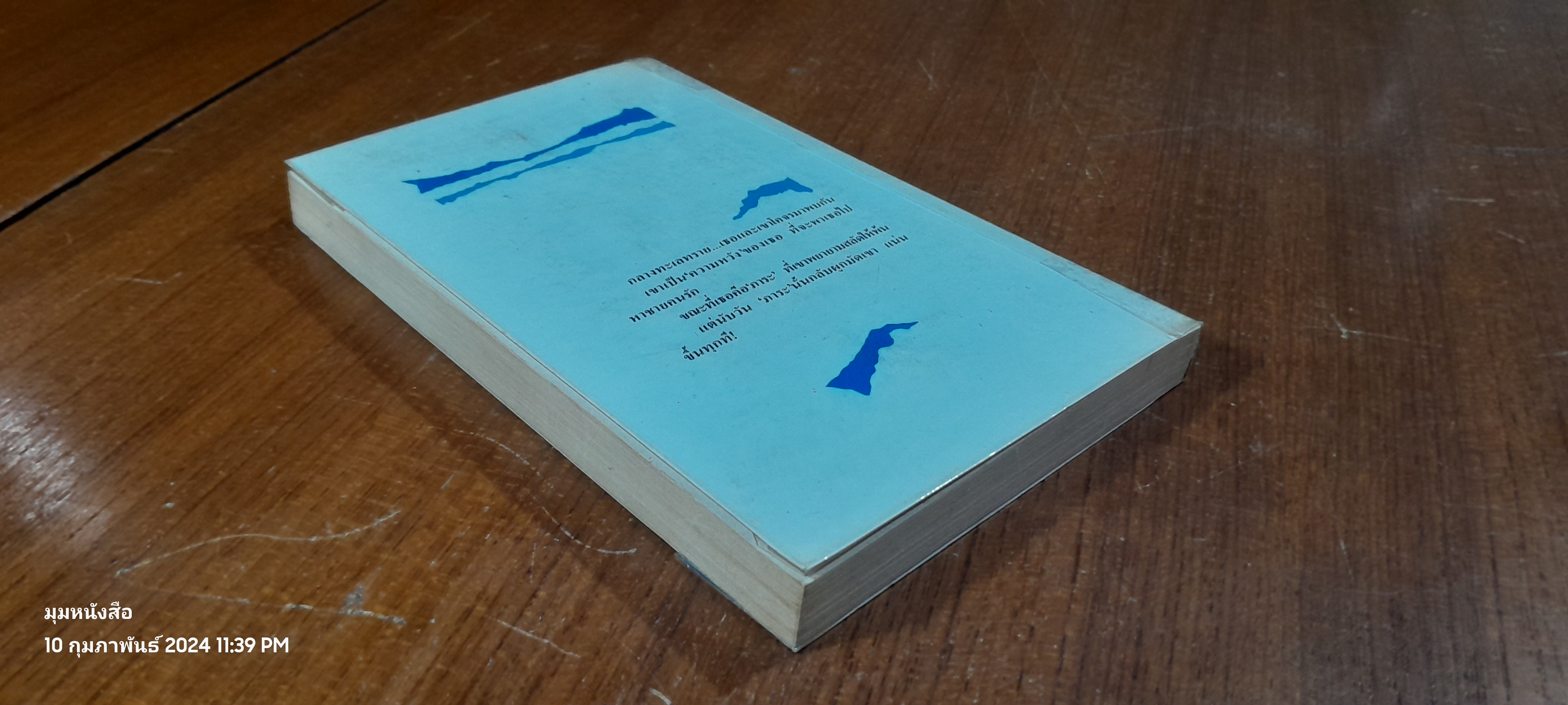 รักที่ขอบฟ้าสีทอง / โจอันนา แมนเซลล์