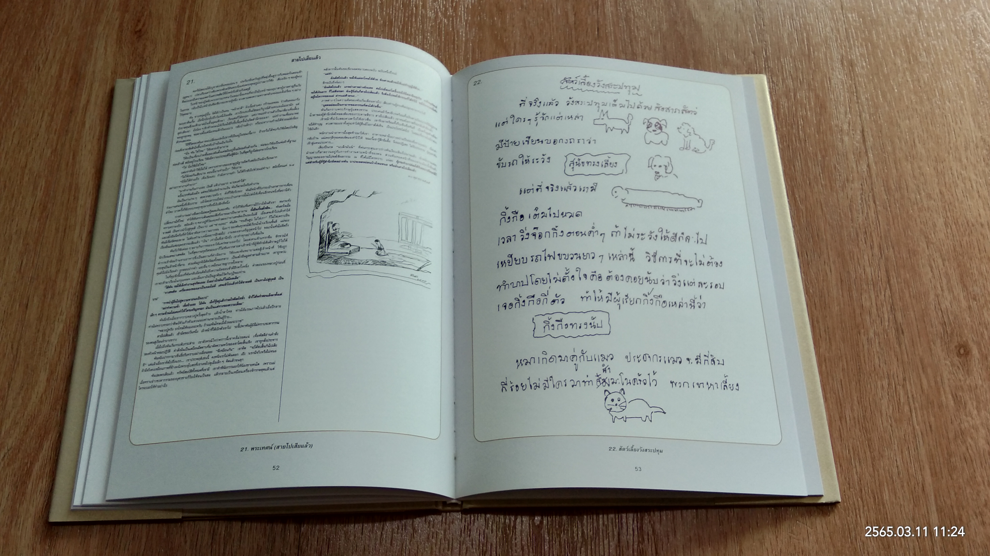 เทพรัตนวิศิษฏศิลป์ / สิรินธร