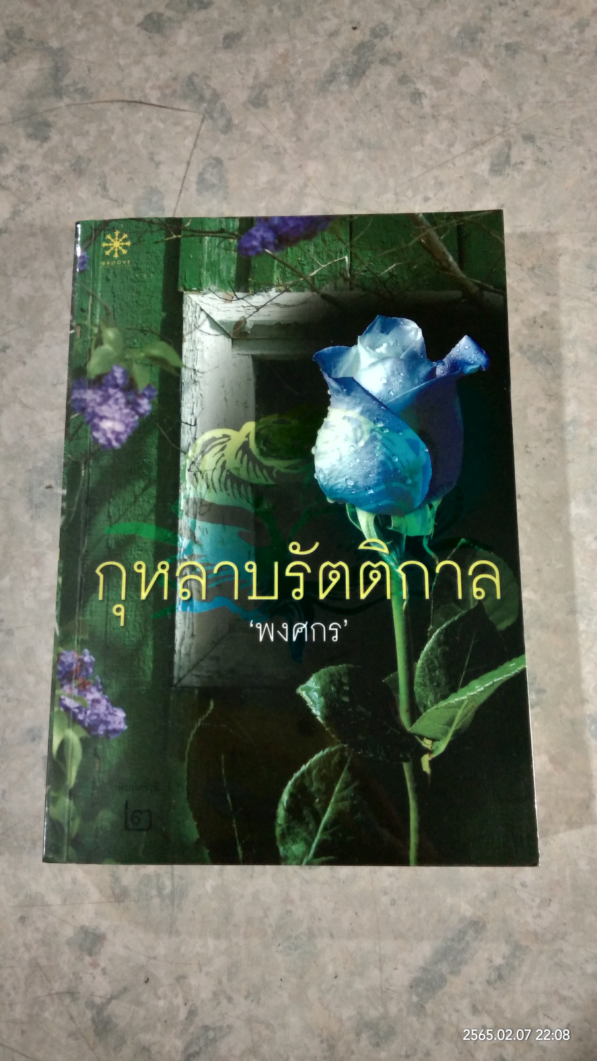 กุหลาบรัตติกาล / พงศกร