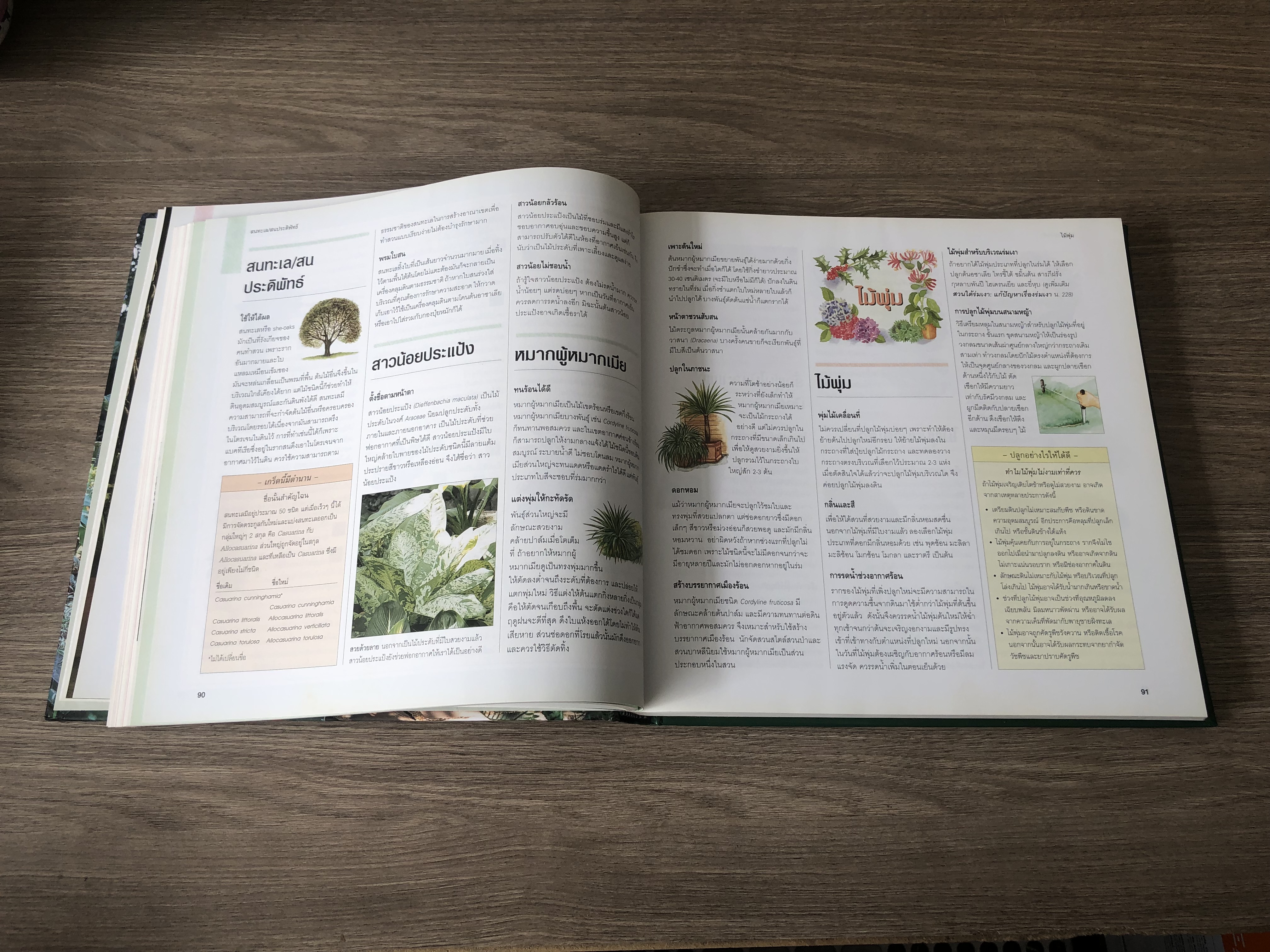 รีดเดอร์ส ไดเจสท์ : เคล็ดลับดูแลสวน