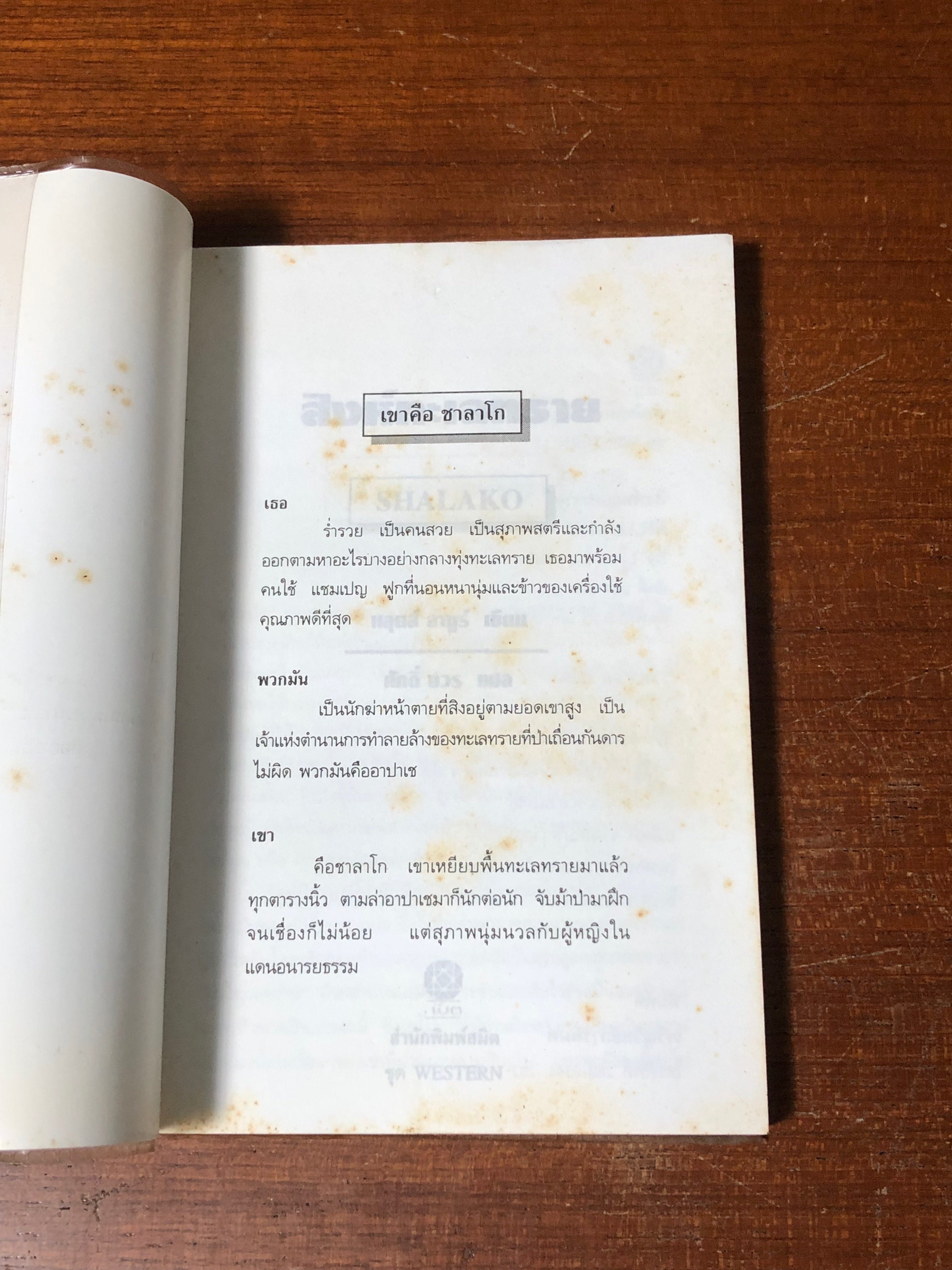 สิงหห์ทะเลทราย / หลุยส์ ลามูร์