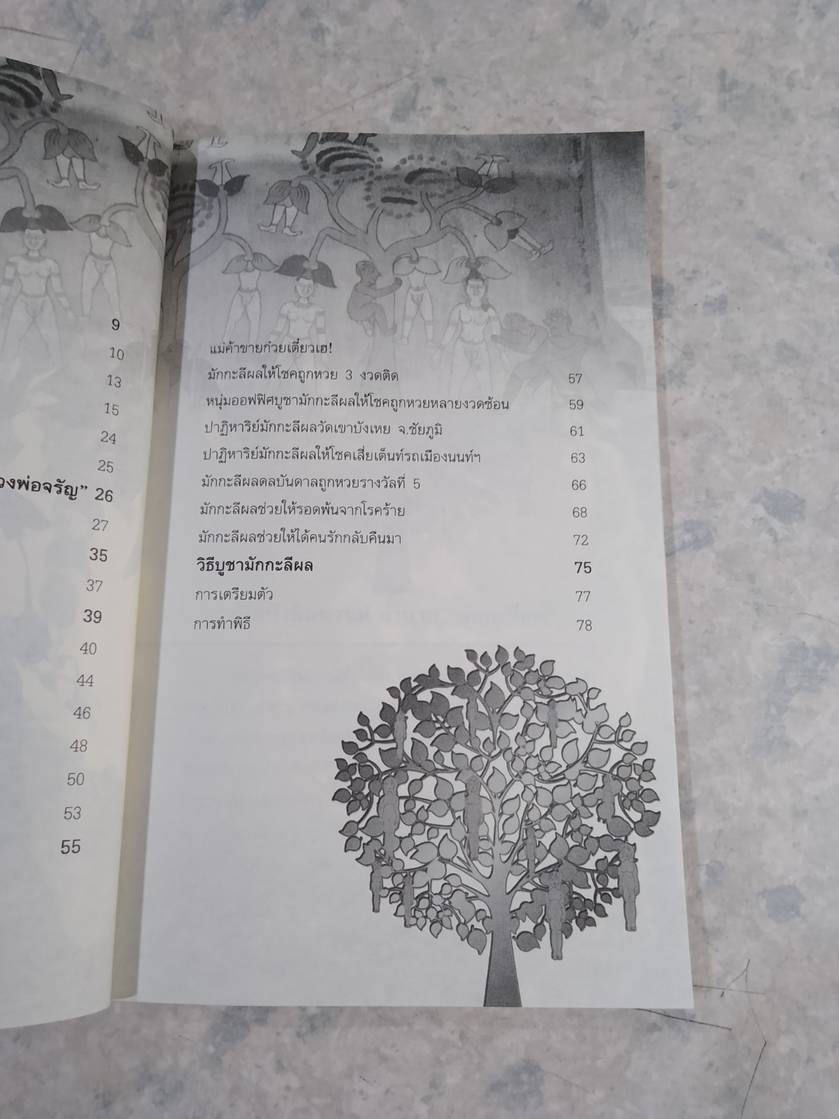 มักกะลีผล ศักดิ์สิทธิ์แห่งพุทธกาล จากหิมพานต์โภคทรัพย์ / อ.ยิ่งยศ วงศ์อำมาตย์