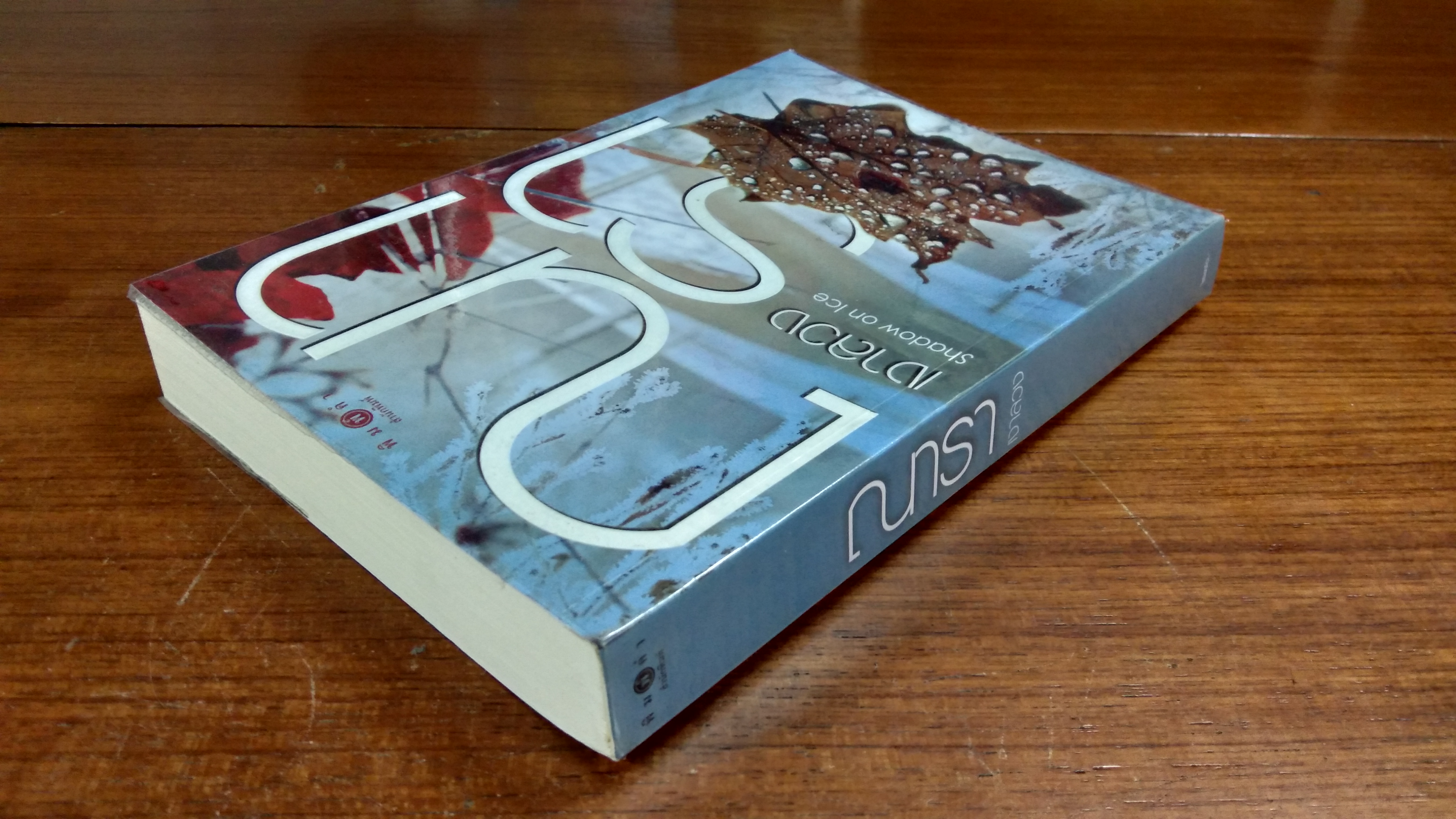 เงาลวง / ณารา